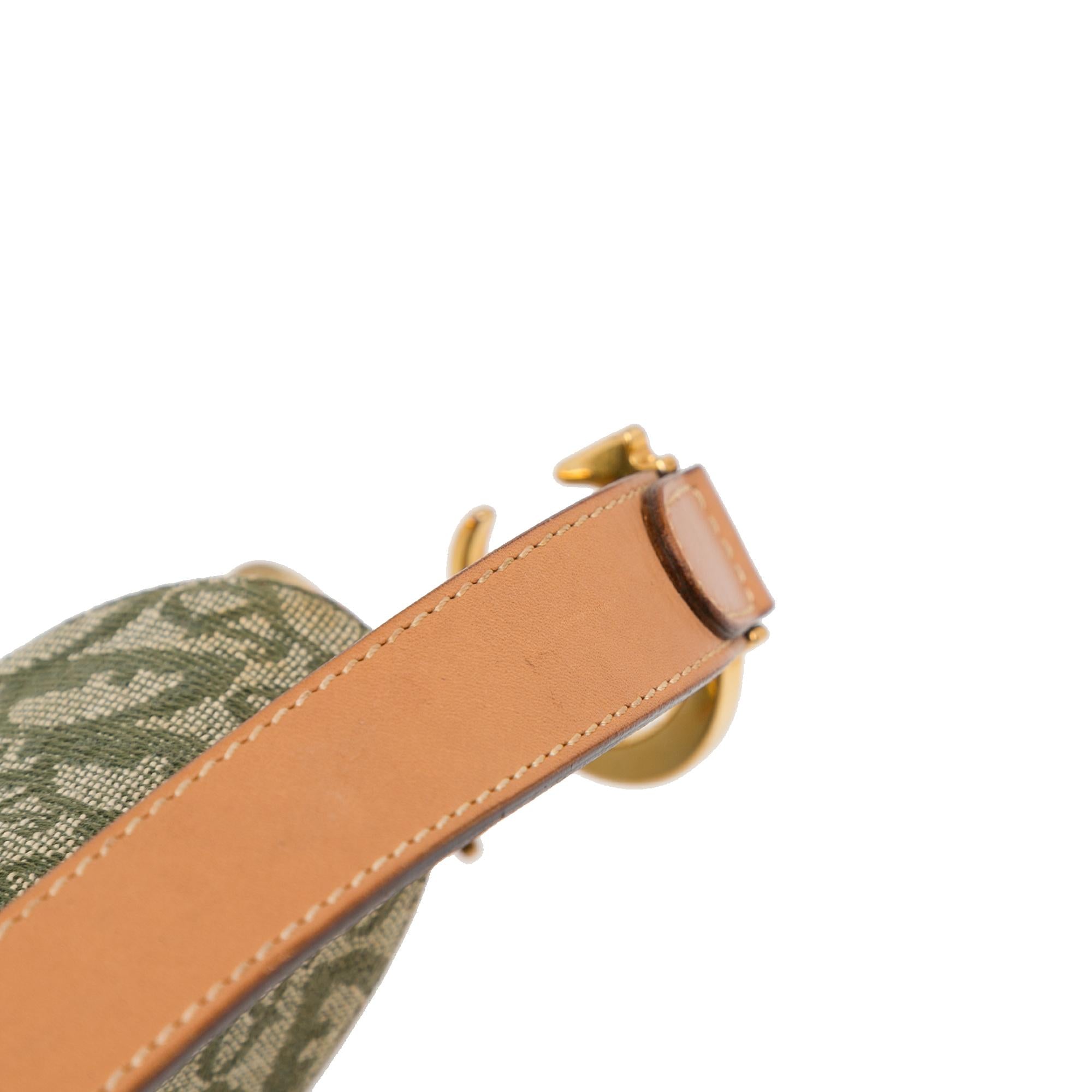 Dior Oblique Canvas Saddle (SHG-DgYOUt)