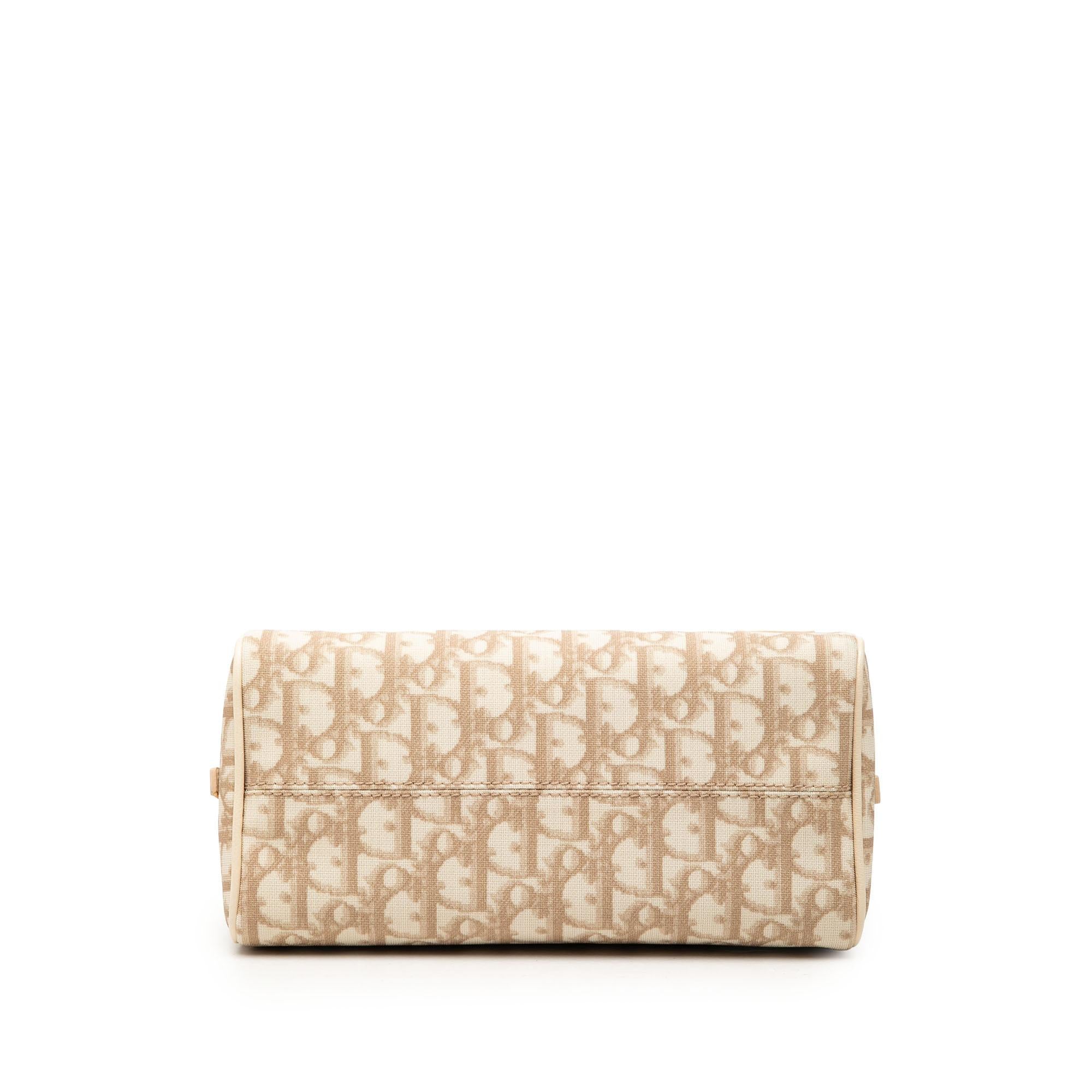 Dior Oblique Canvas Trotter Boston Bag