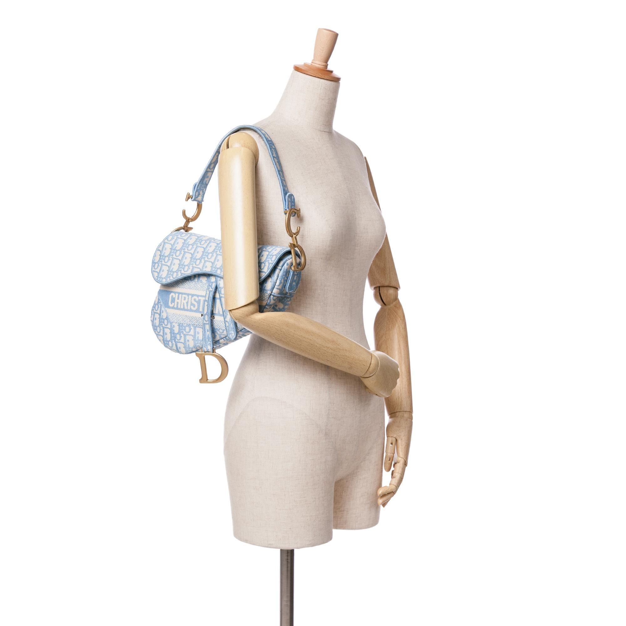 Dior Oblique Embroidered Canvas Saddle Bag