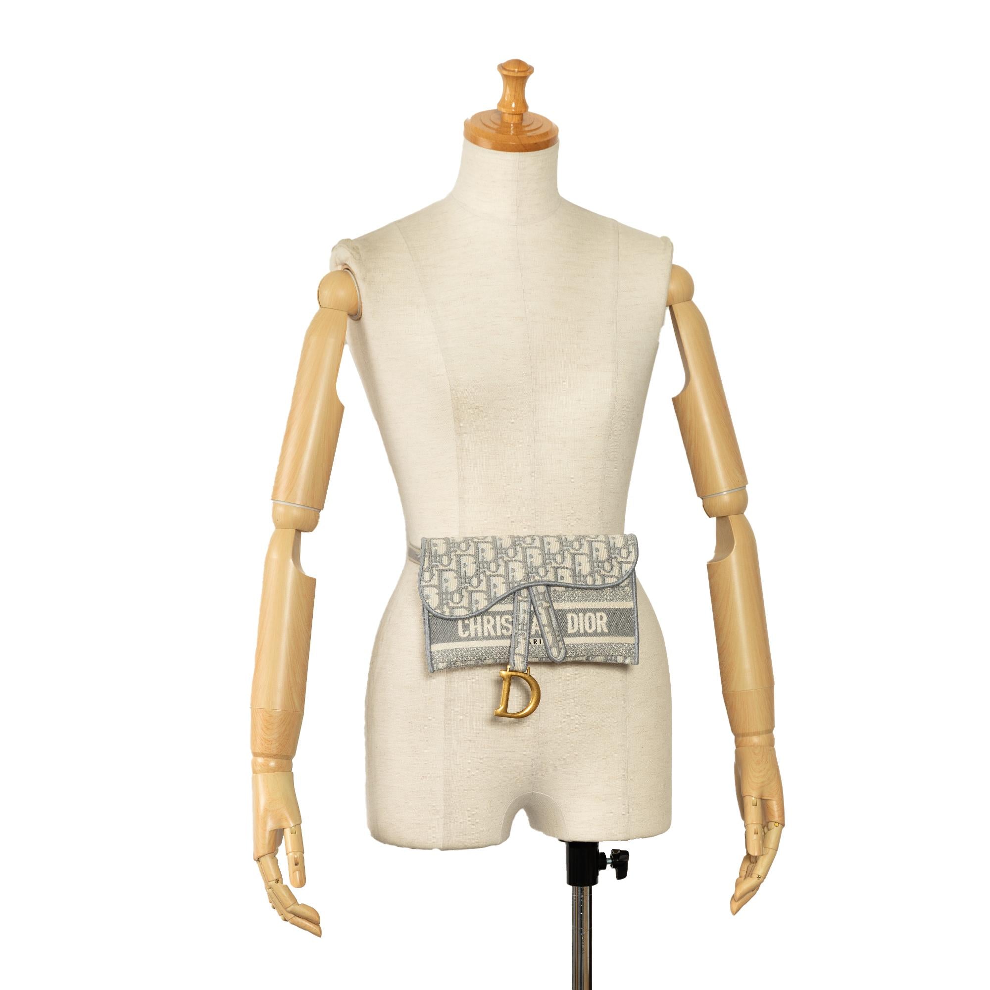 Dior Oblique Saddle Slim Belt Pouch (SHG-XFaEWA)