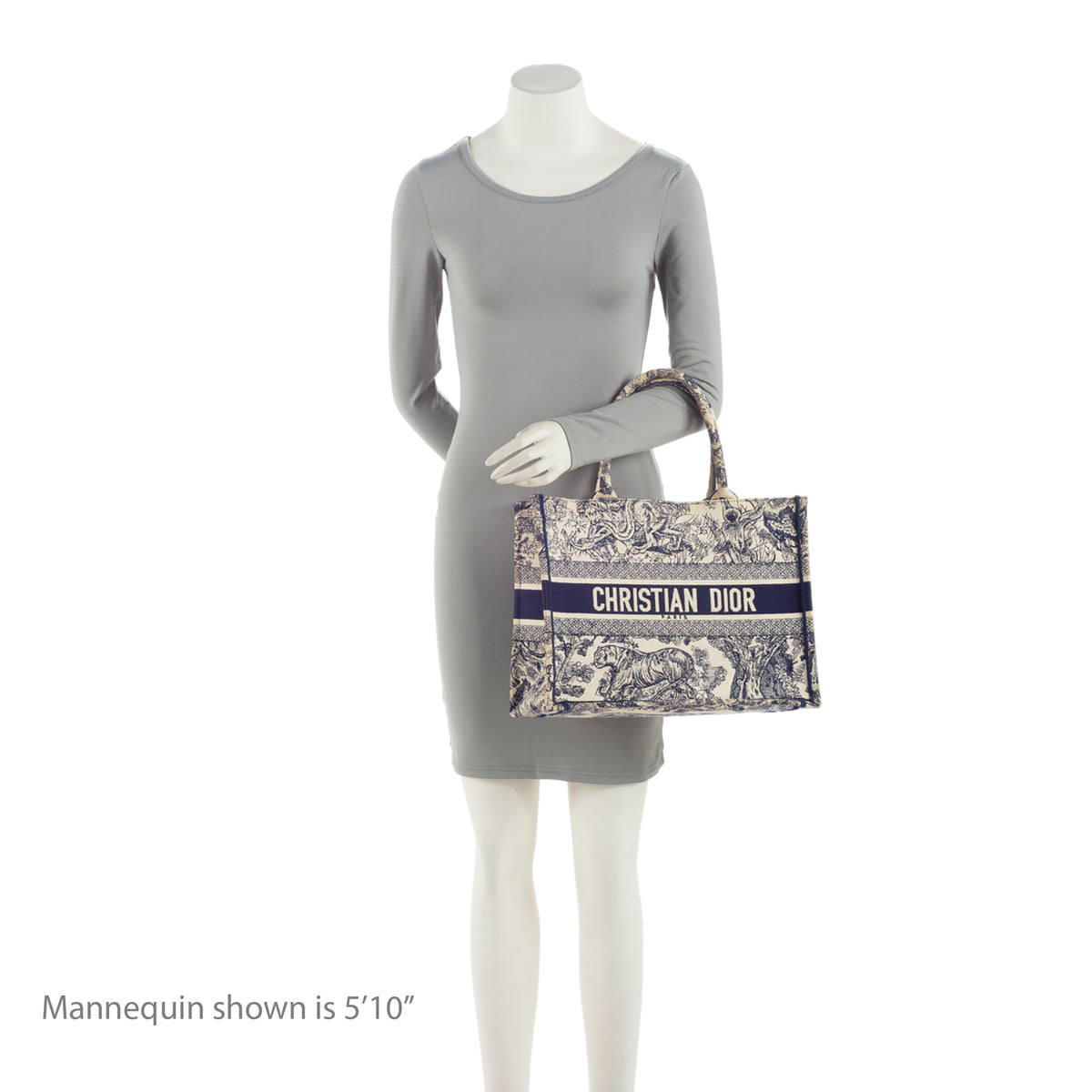 Dior Toile De Jouy Medium Book Tote