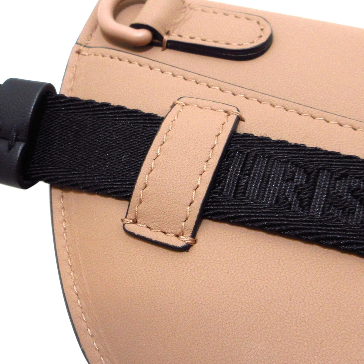 Dior Ultra Matte Saddle Belt Bag (SHG-GEABAd) display picture 2