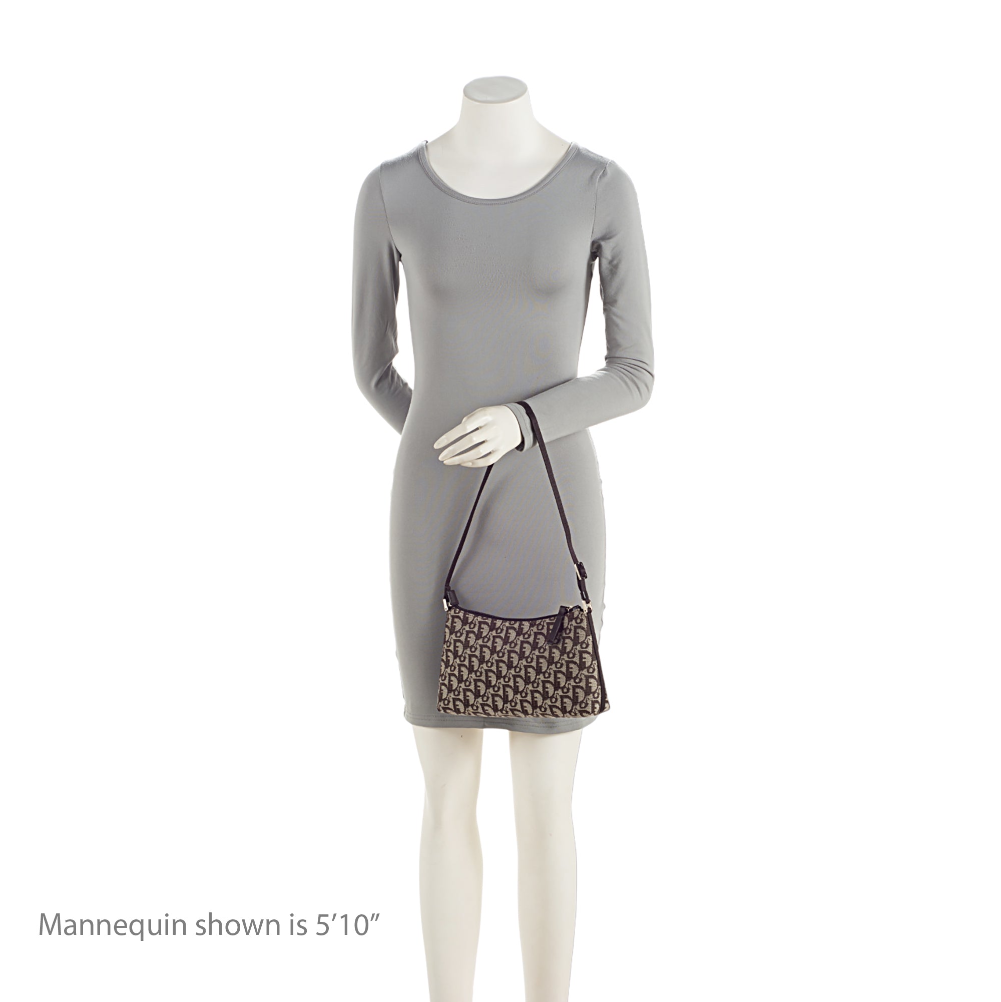 Dior Vintage Trotter Shoulder Bag (SHF-TtSMgB)