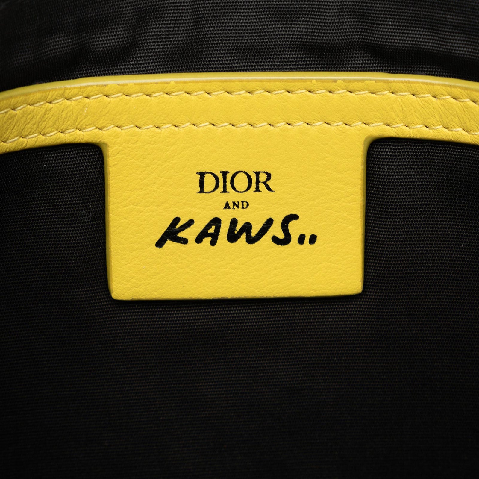 Dior x kaws backpack online