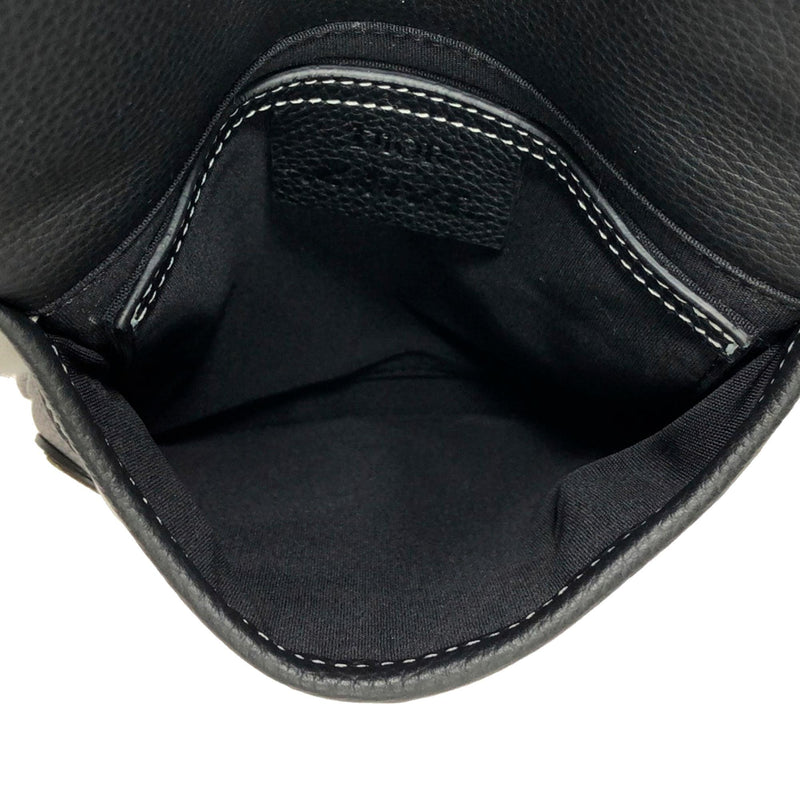 Dior x kaws pouch saddle in black hot sale