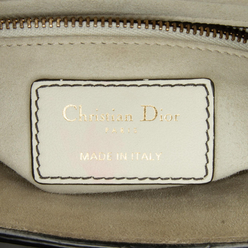 Dior x Niki De Saint Phalle Limited Edition Mini Dragon Lady Dior (SHG-dMR3Fy)