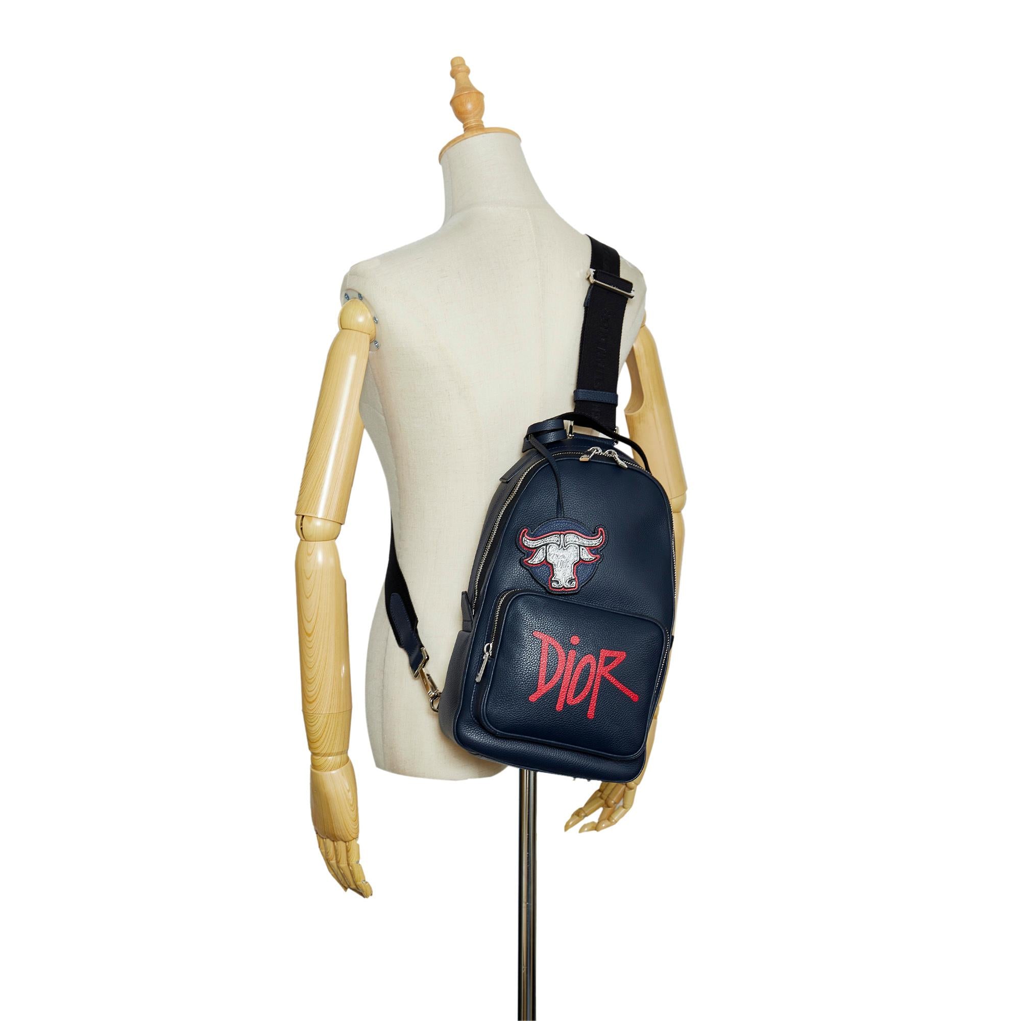 Dior x Shawn Stussy Year of the Ox Sling