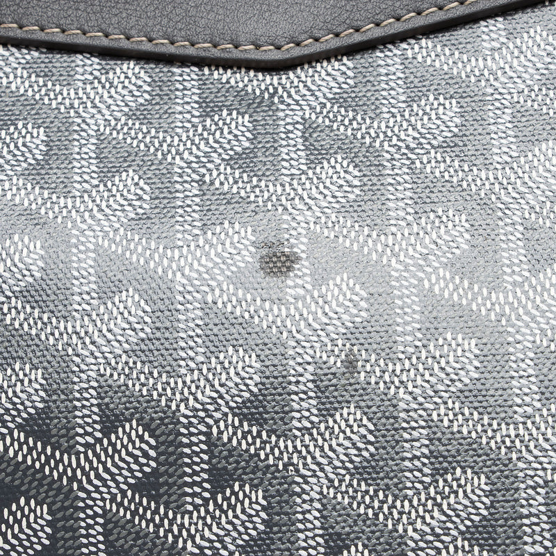 Goyard Goyadine Cisalpin MM Backpack (SHF-GZHLBY)