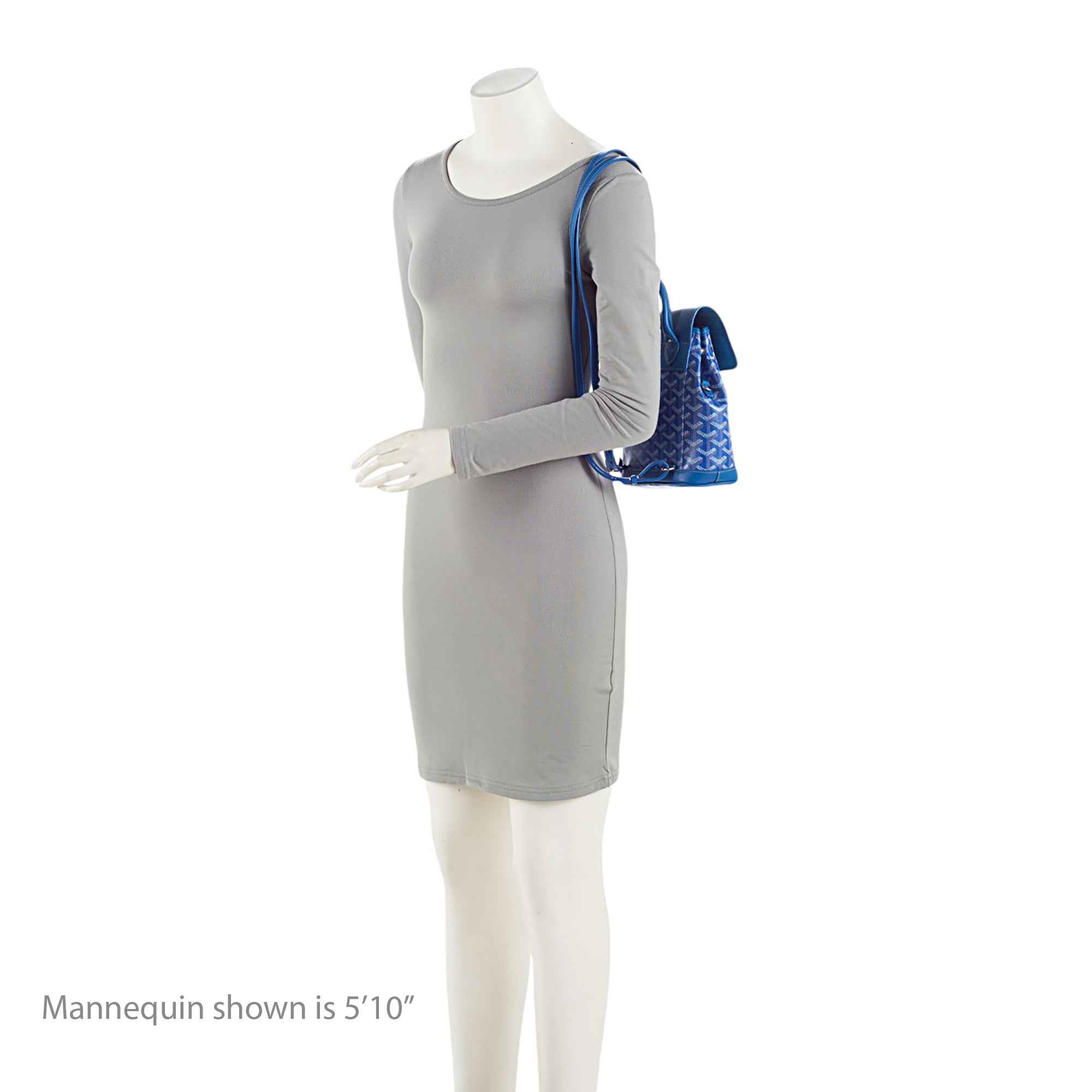 Goyard Goyardine Alpin Mini Backpack (SHF-fH6wba)