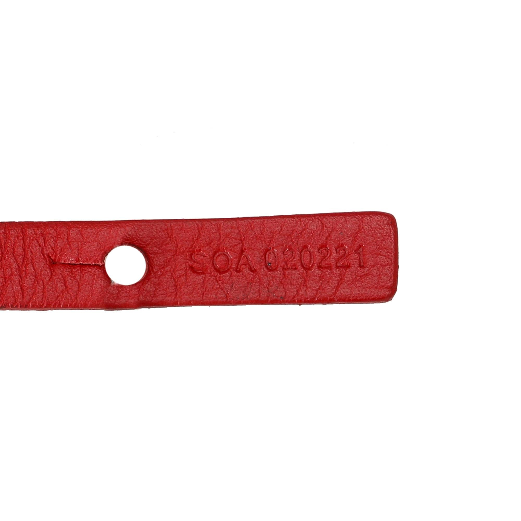 Goyard Goyardine Anjou PM (SHG-DWzoux)