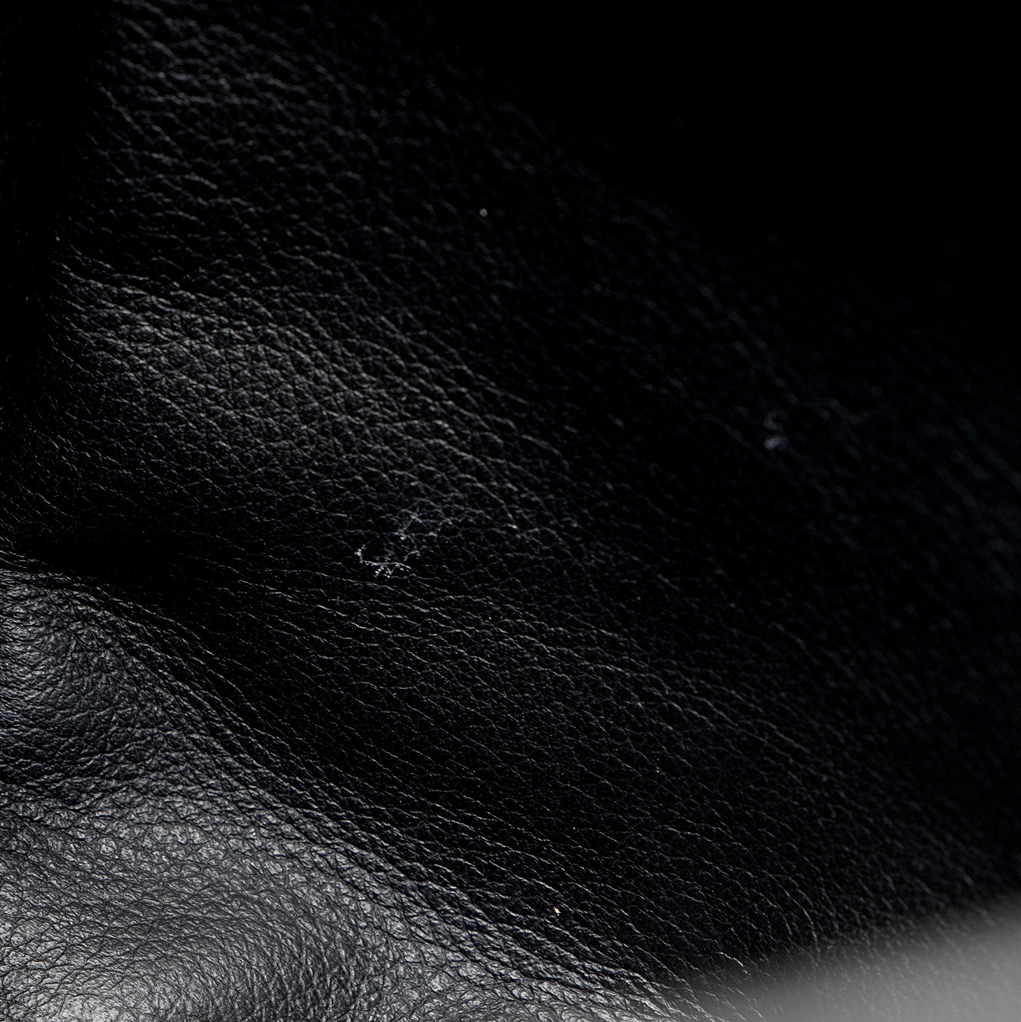Goyard Goyardine Canvas Reversible Anjou Mini Tote