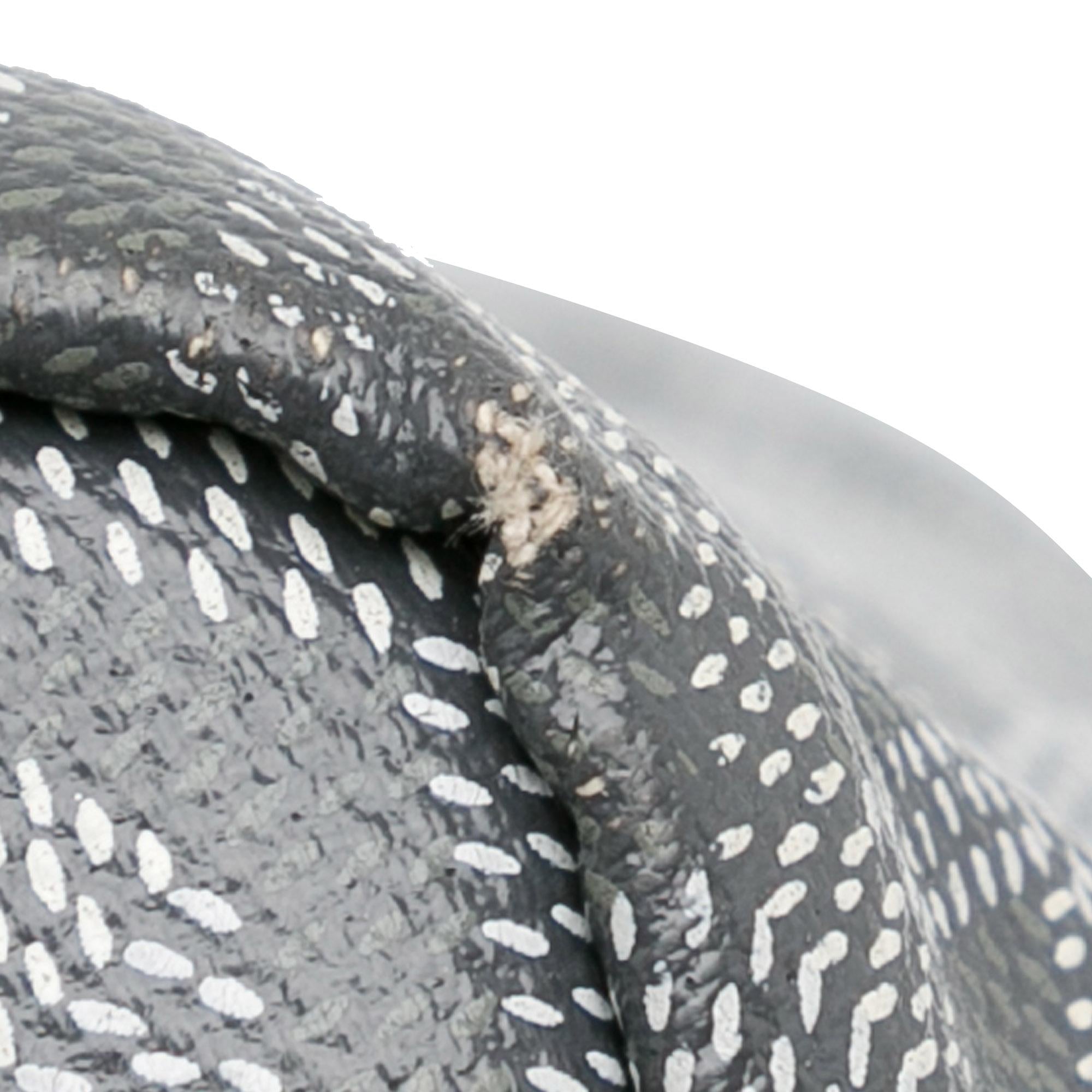 Goyard Goyardine Saint Louis GM (SHG-vFDmoT)