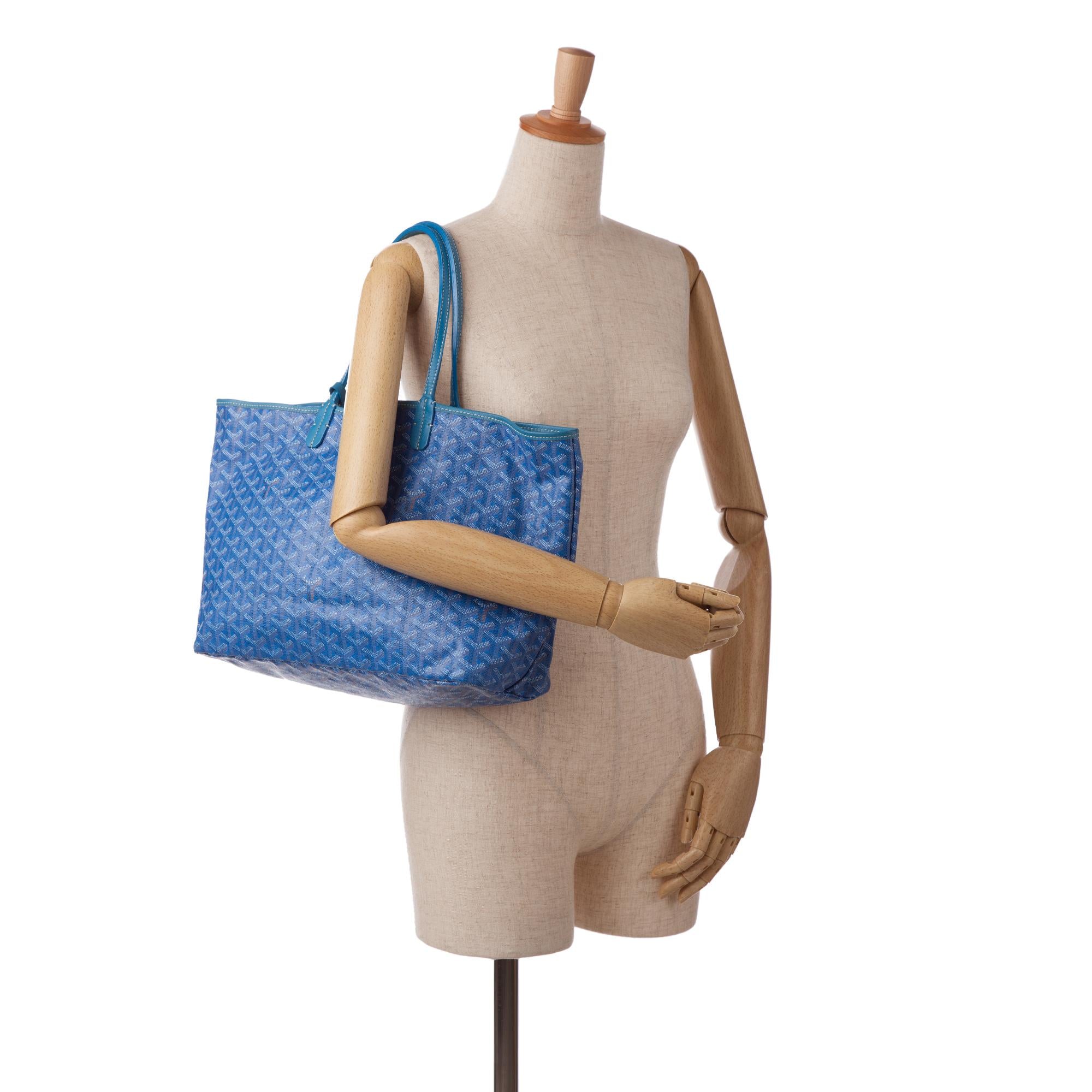 Goyard Goyardine Saint Louis PM (SHG-kD78Os)