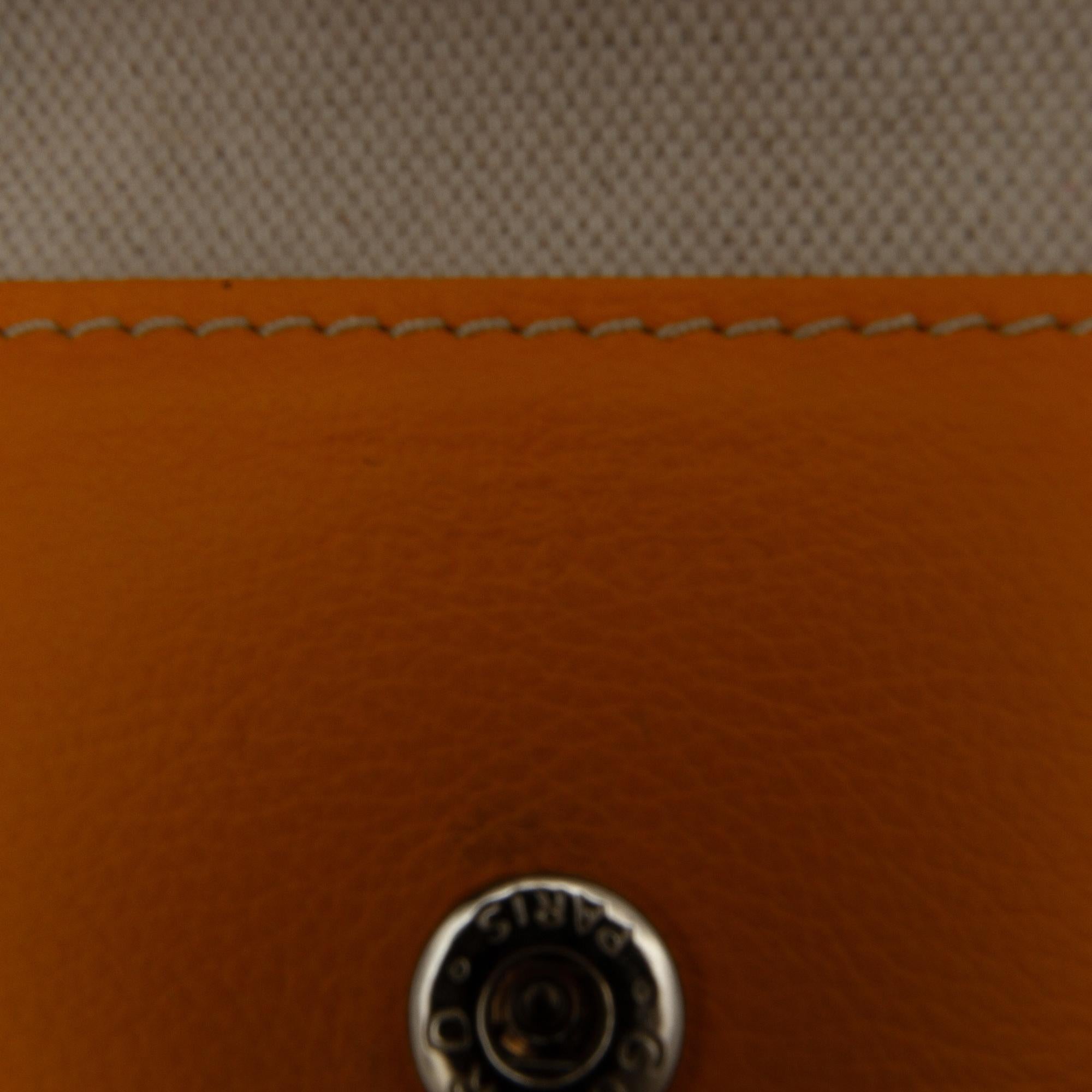 Goyard Goyardine Saint Louis PM (SHG-tX9uvc)