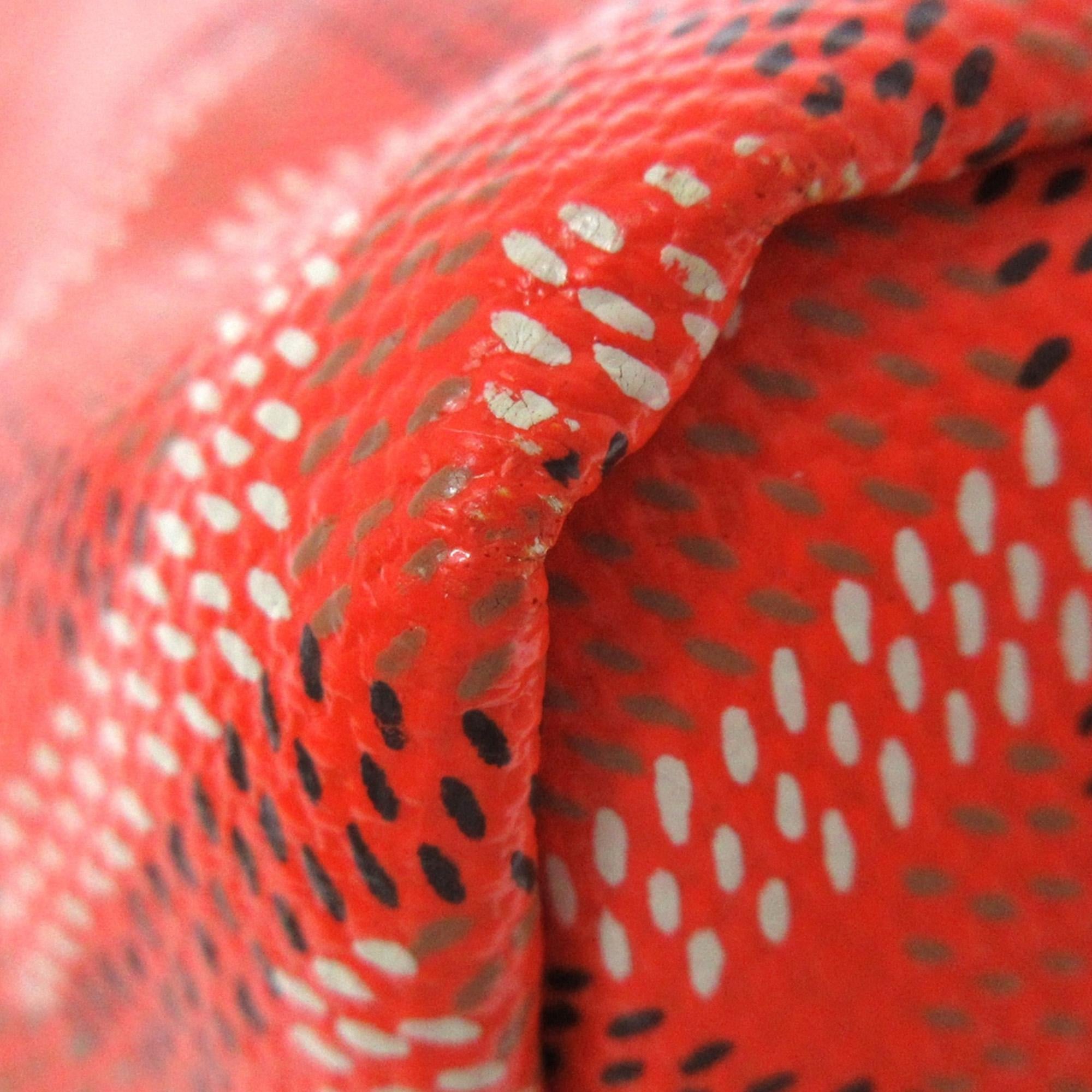 Goyard Goyardine Saint Louis PM (SHG-fvVHfK)