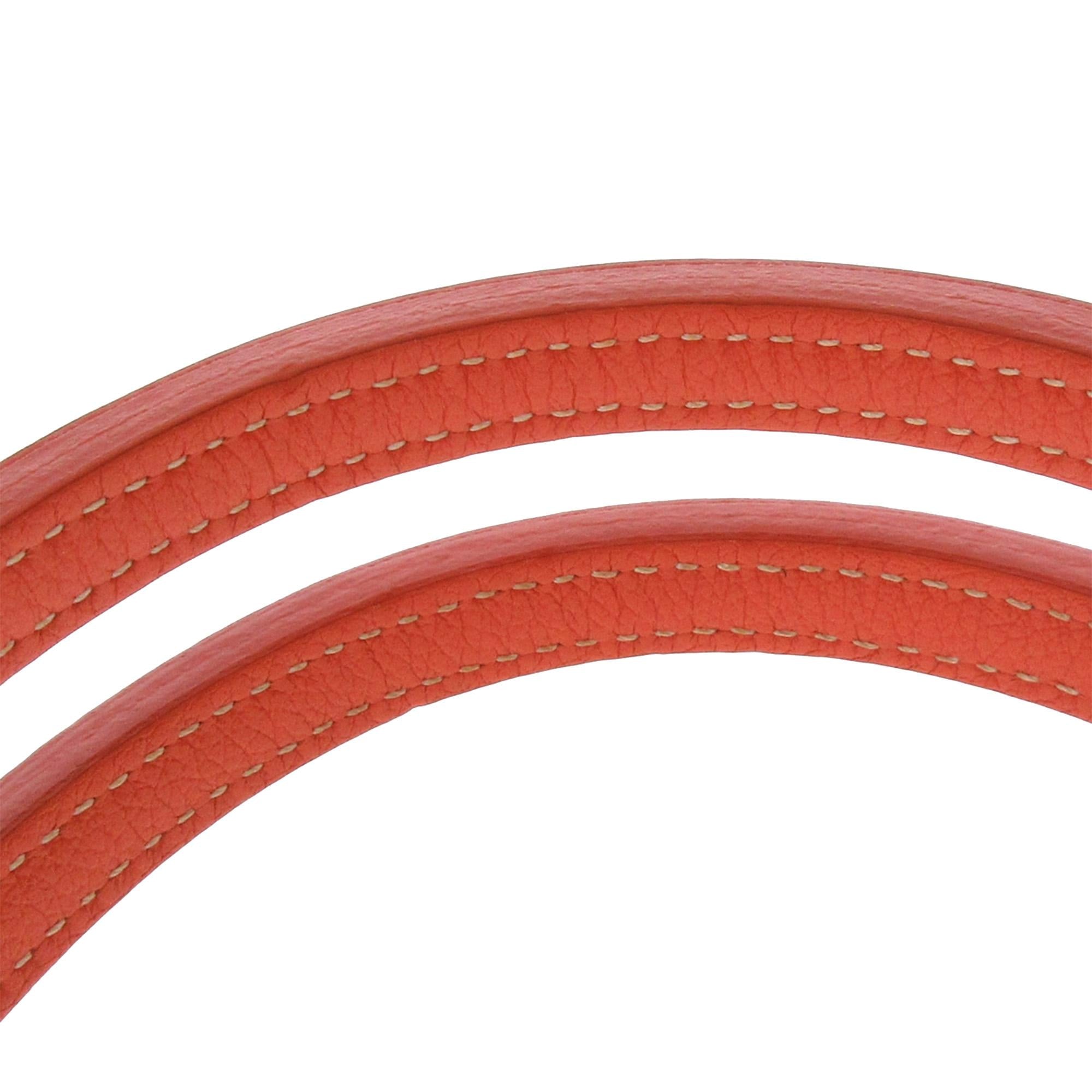 Goyard Goyardine Saint Louis PM (SHG-fvVHfK)