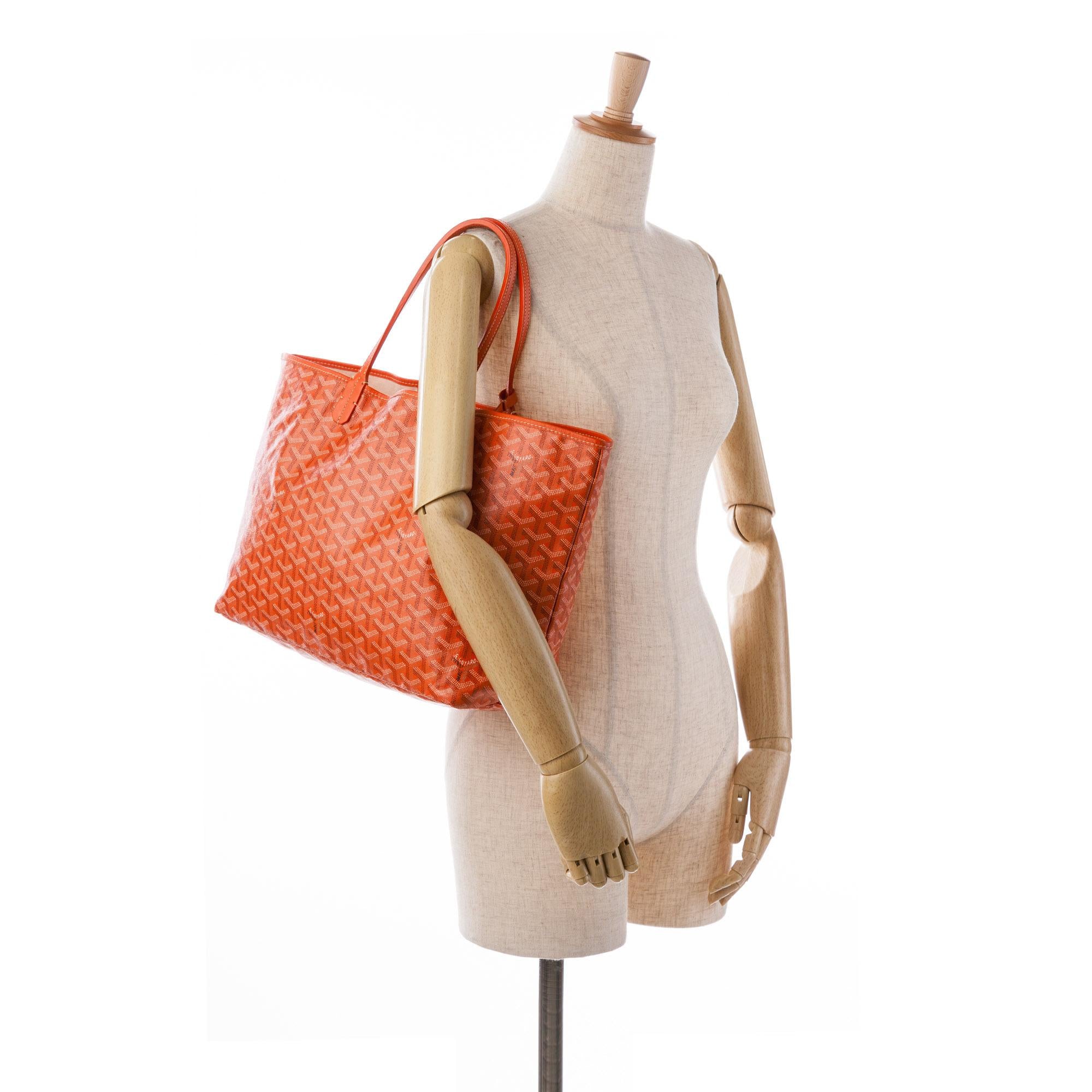 Goyard Goyardine Saint Louis PM (SHG-AFtegN)