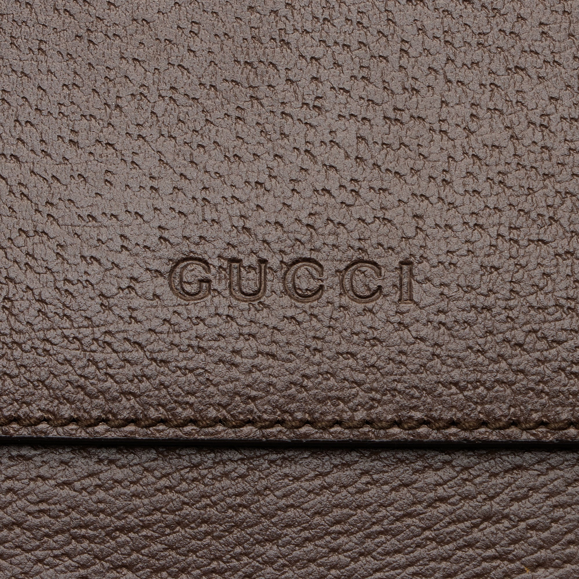 Gucci Calfskin Web Animalier Shoulder Bag
