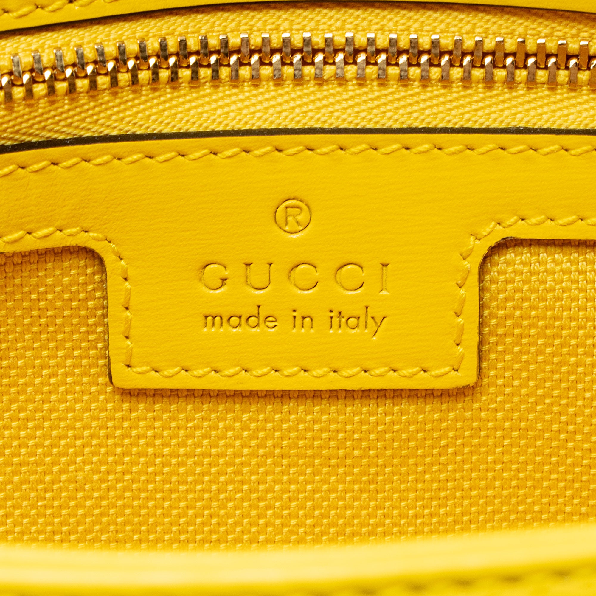 Gucci GG Canvas Luce Small Shoulder Bag