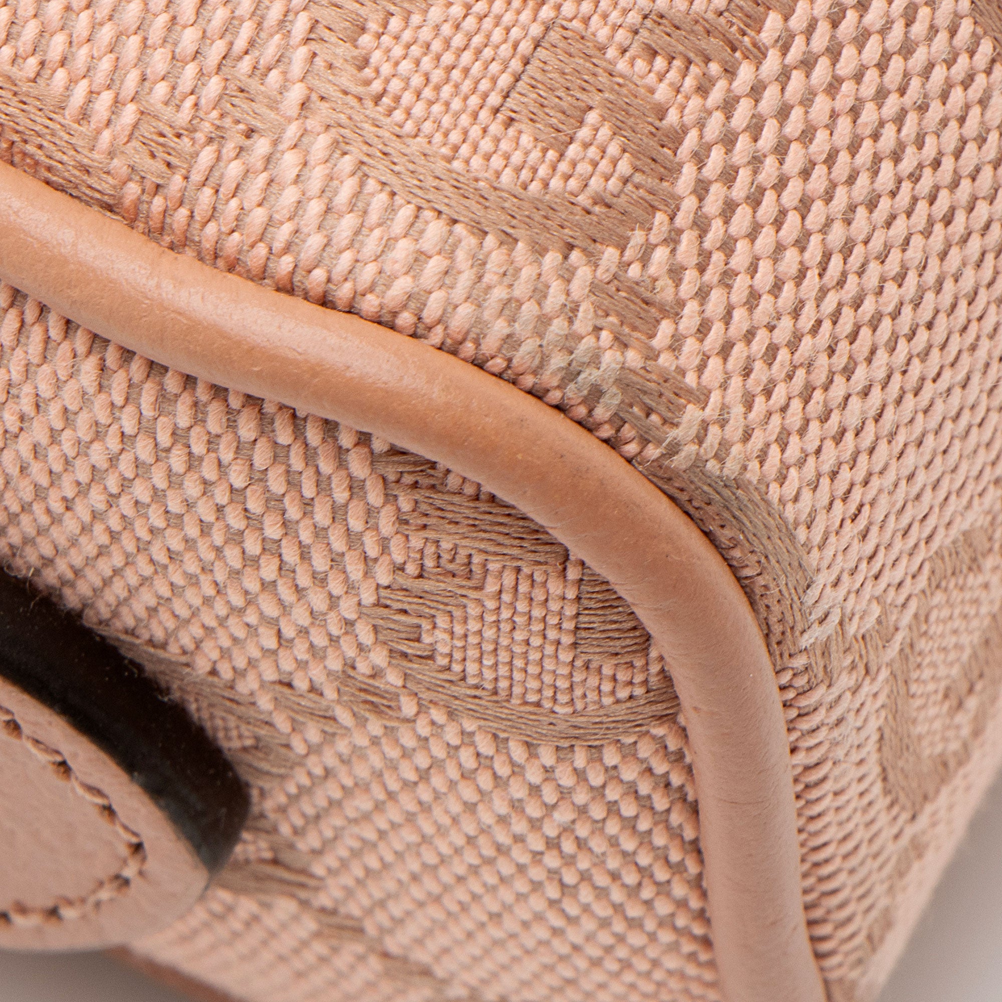 Gucci GG Canvas Ophidia Mini Shoulder Bag