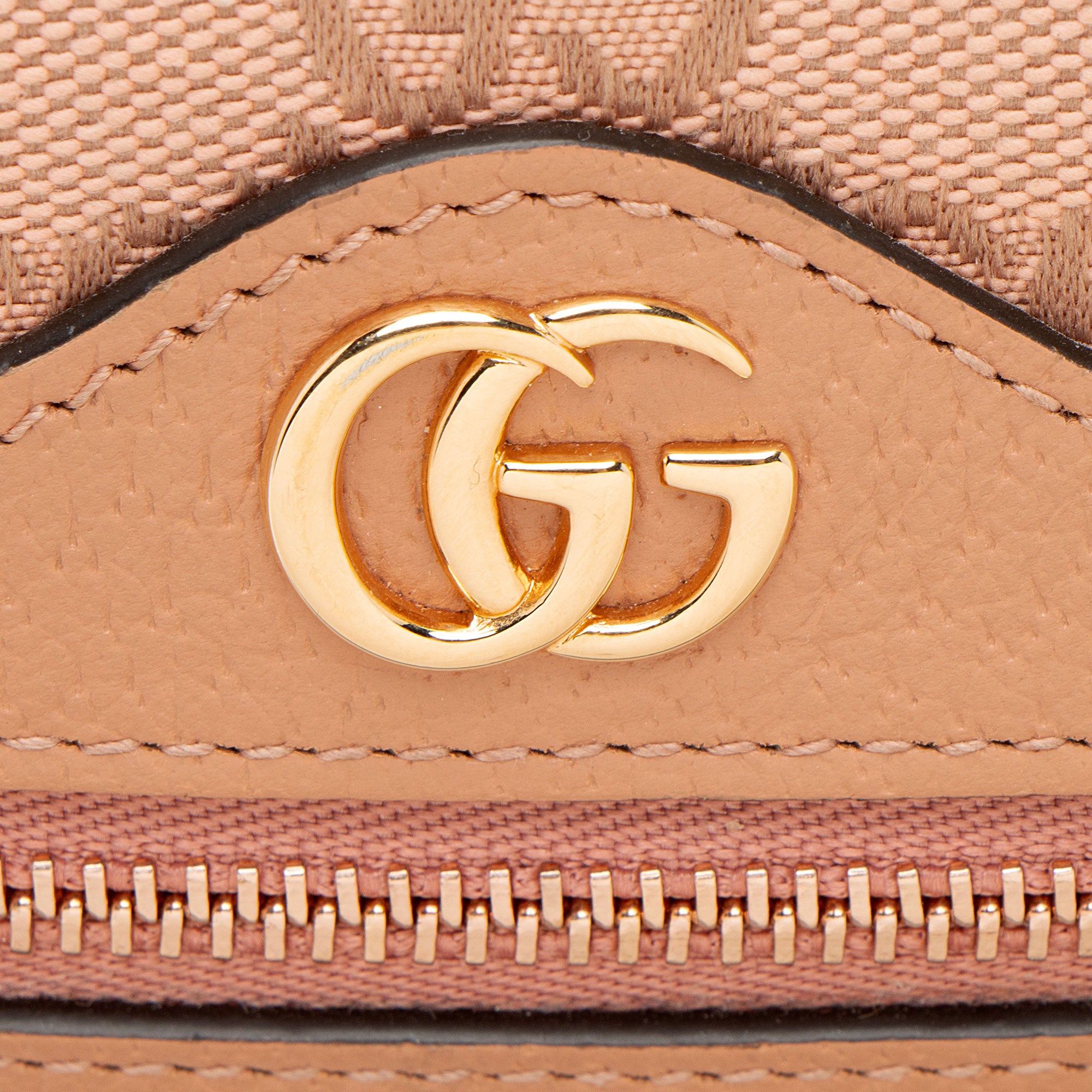 Gucci GG Canvas Ophidia Mini Shoulder Bag