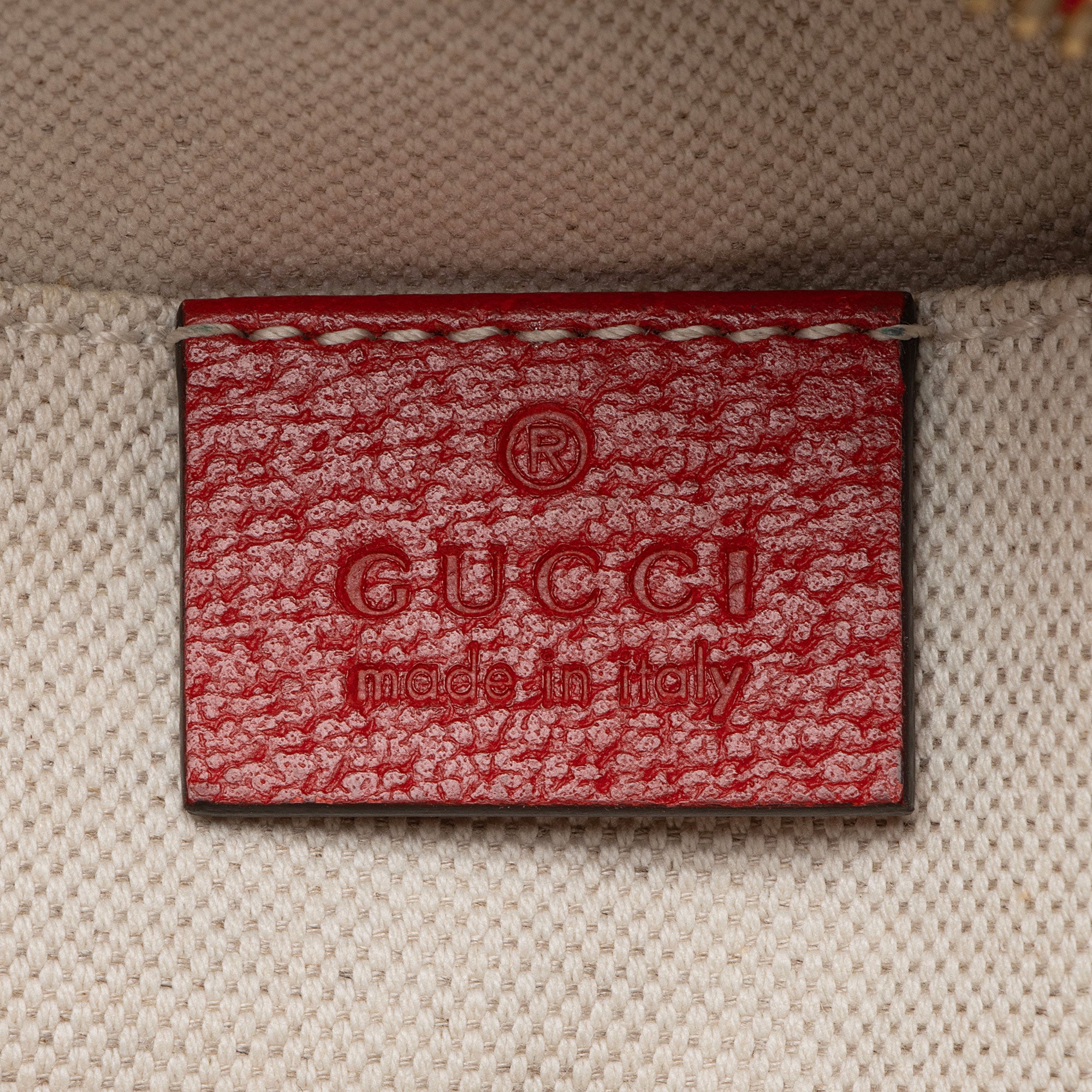 Gucci GG Supreme Apple Camera Bag