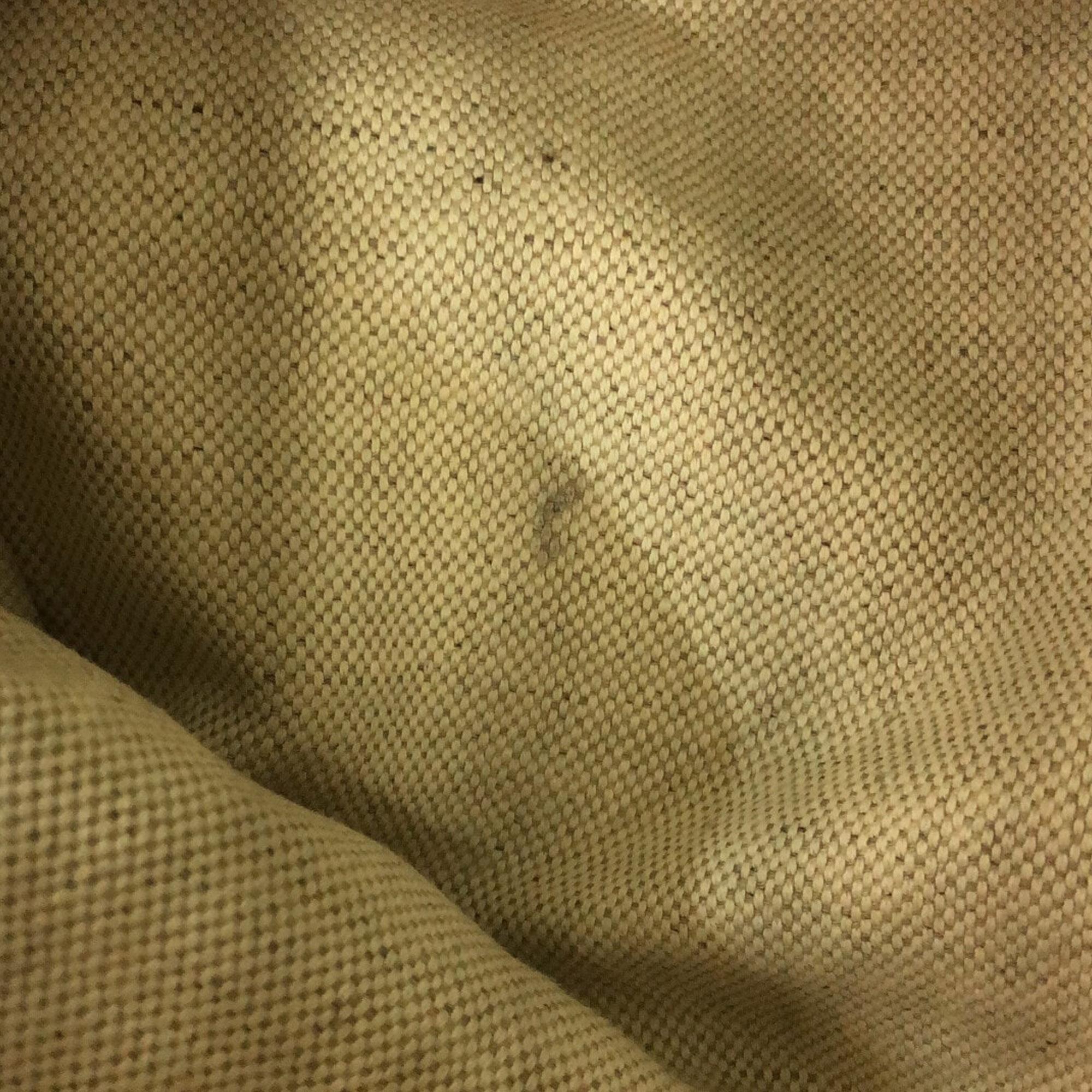 Gucci GG Supreme Donald Duck Soft Backpack (SHG-5R4mC7)