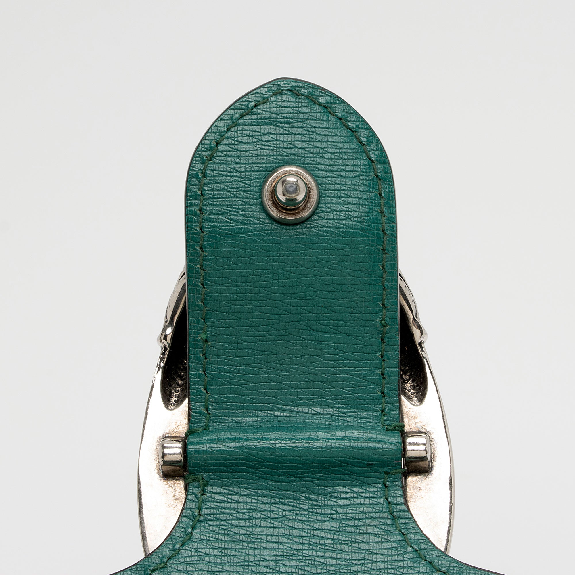 Gucci Leather Blooms Dionysus Medium Shoulder Bag (SHF-XlECb6)
