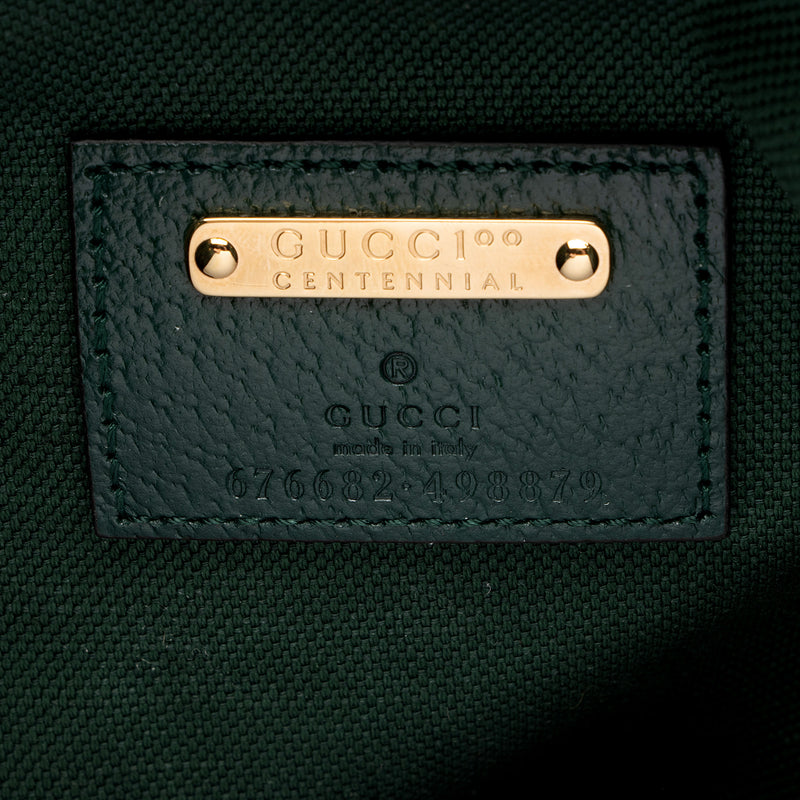 Gucci Limited Edition GG Canvas 100 Bucket Bag (SHF-x2mTZd)