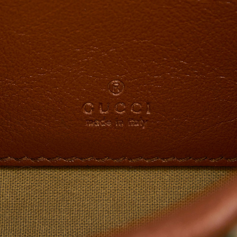 Gucci Mini Rajah Web Chain Crossbody Bag (SHG-01btm5)