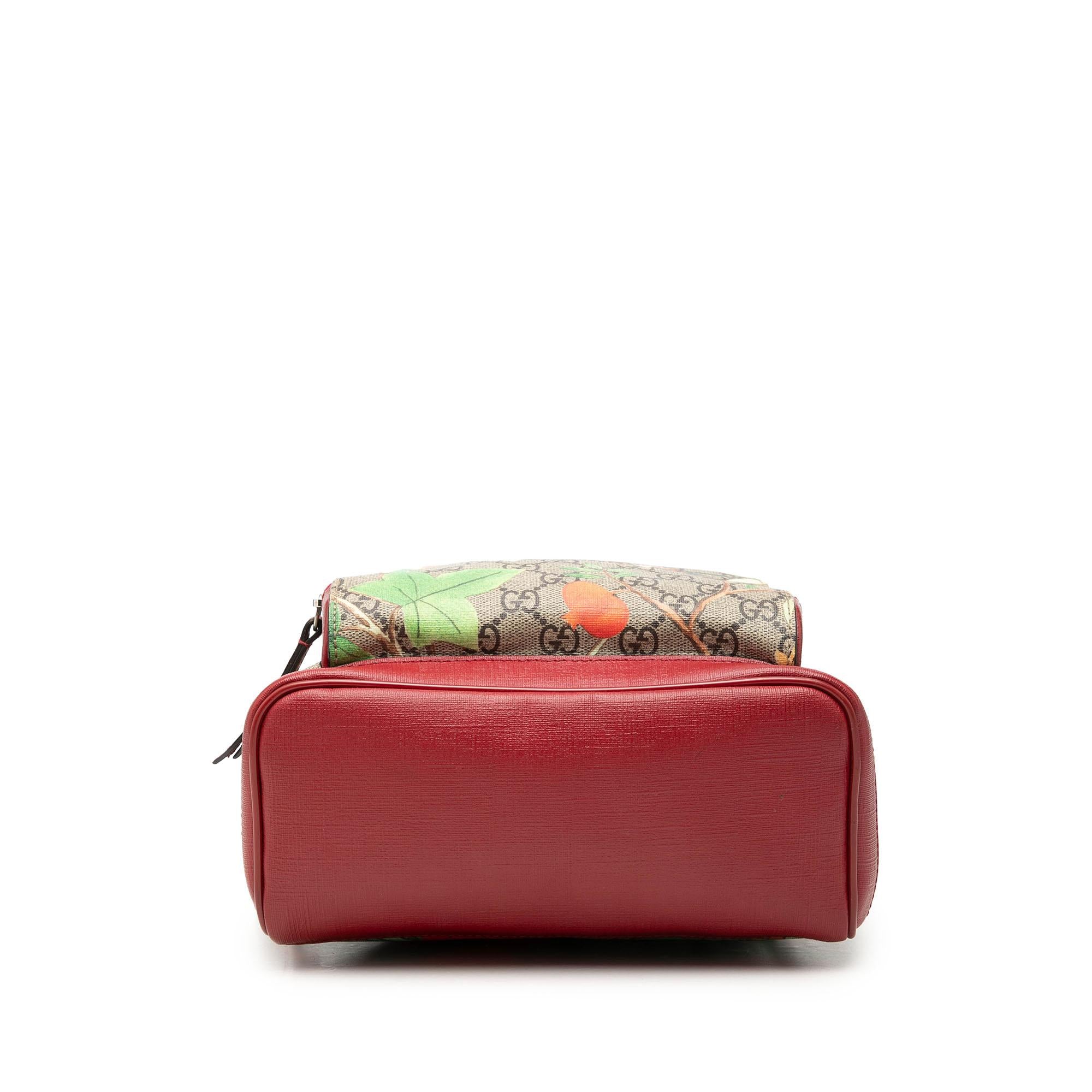 Gucci Small GG Supreme Web Tian Backpack