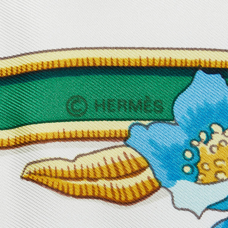 Hermes Caraibes Silk Scarf (SHG-hd01pF)