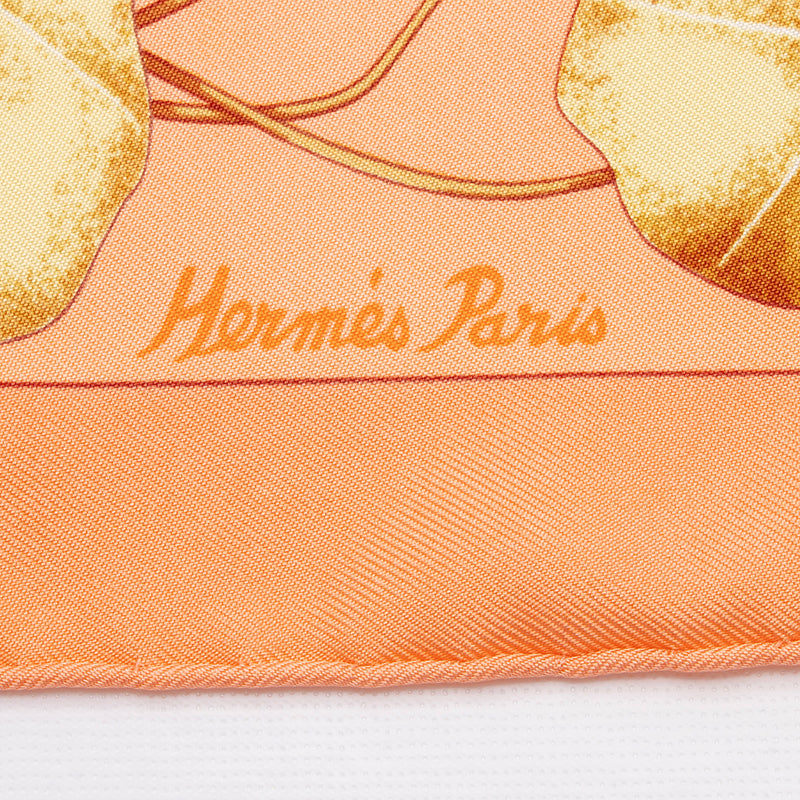 Hermes Silk Les Capucines Pocket Square 40cm Scarf (SHF-i1MTYy)