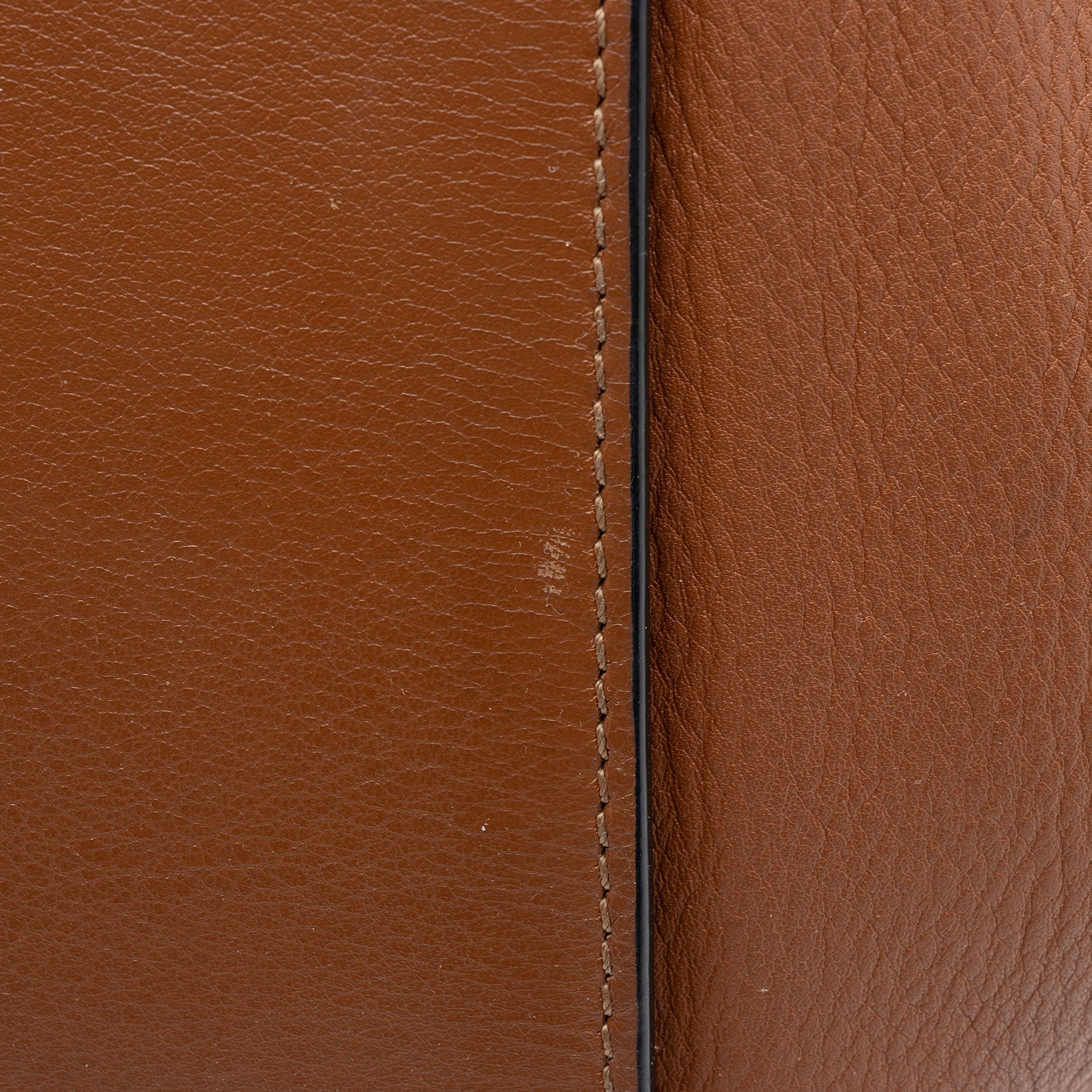 Loewe Calfskin Compact Hammock Bag