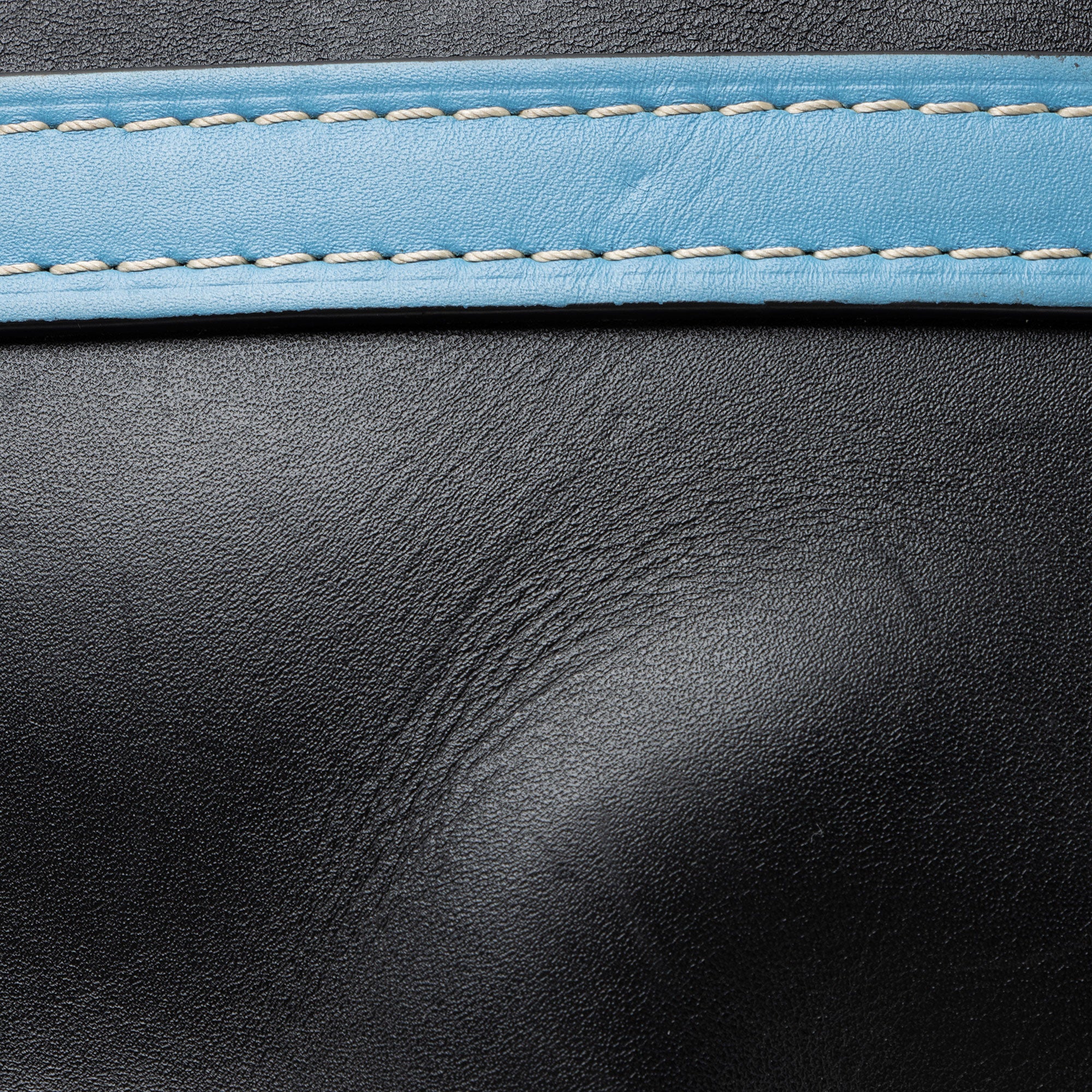 Loewe Calfskin Gate Small Crossbody