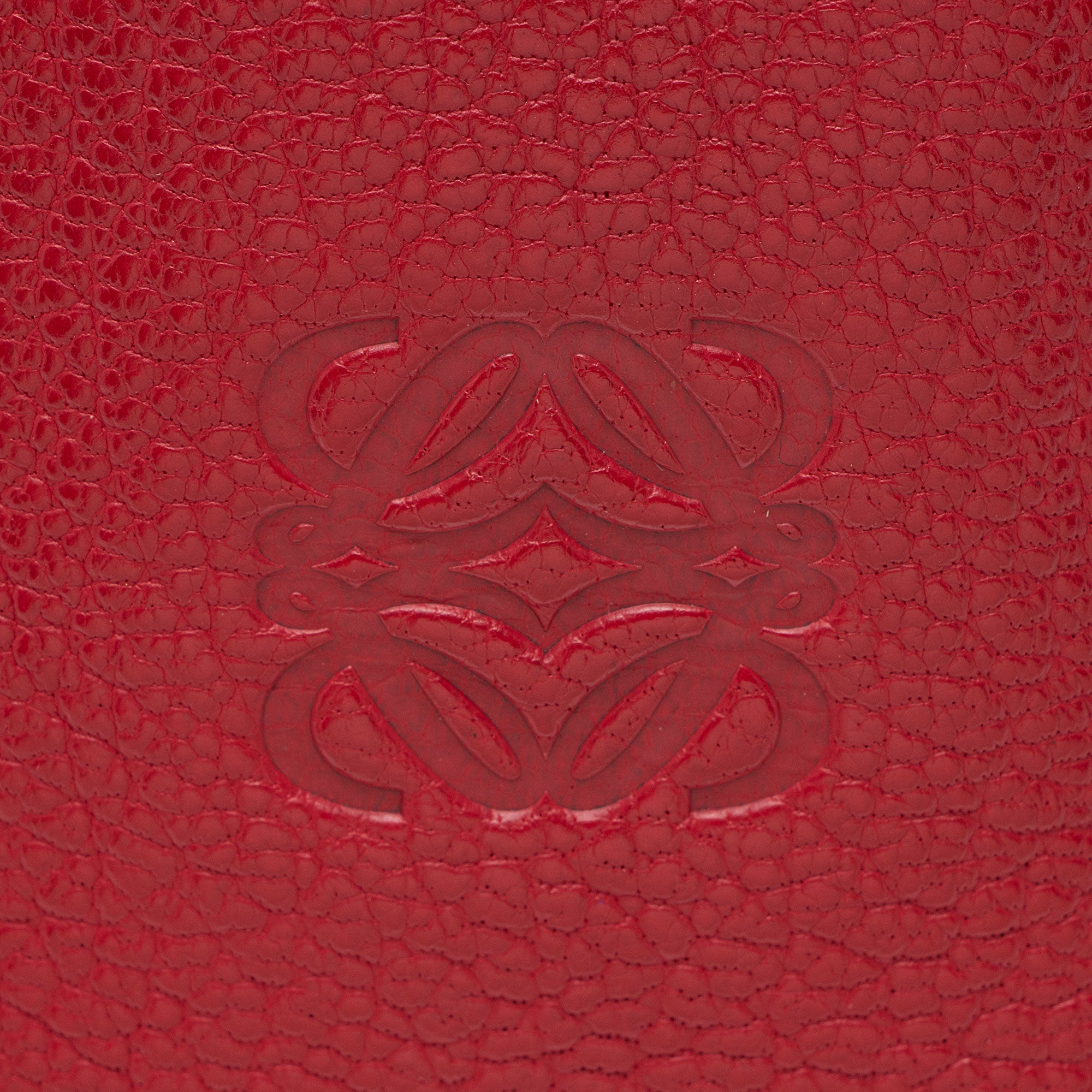 Loewe Leather Amazona 28 Satchel
