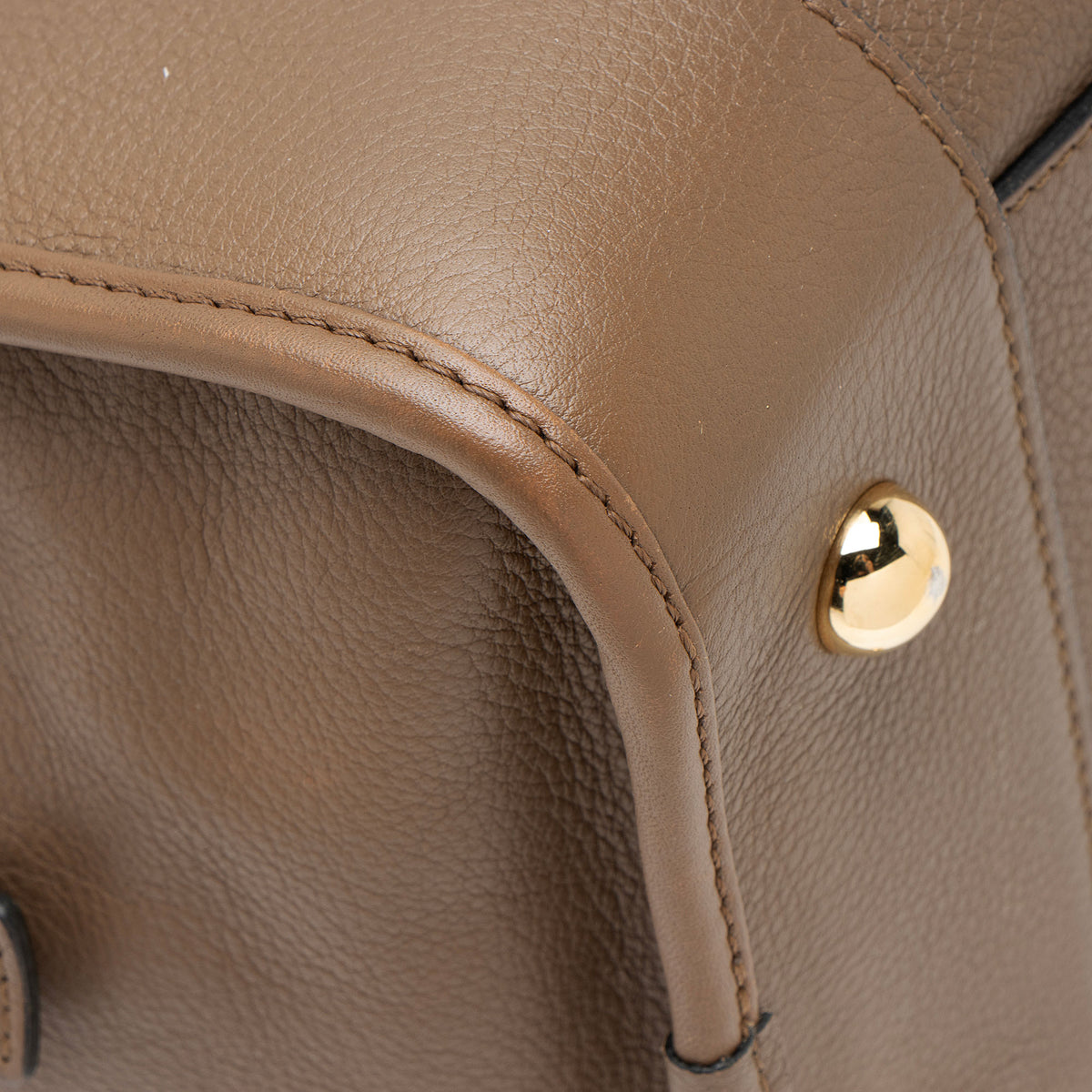 Loewe Leather Amazona 36 Satchel