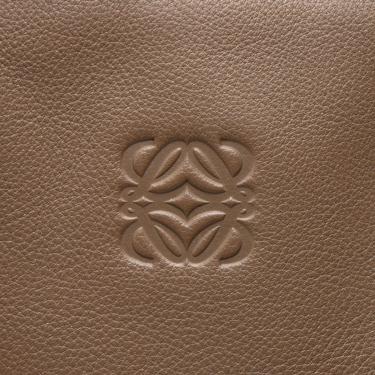 Loewe Leather Amazona 36 Satchel
