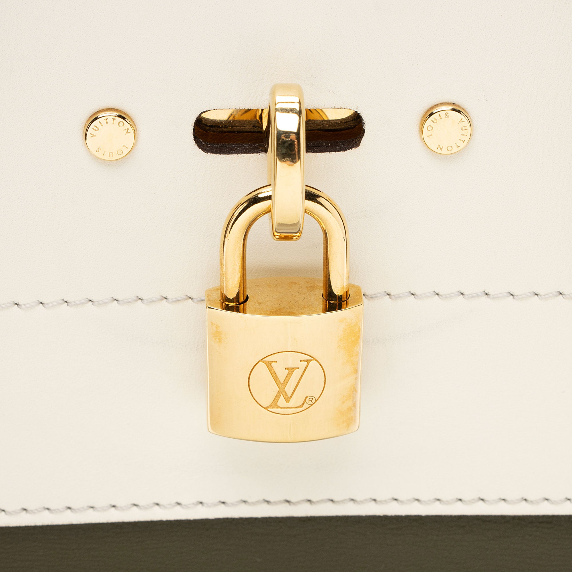 Louis Vuitton Calfskin City Steamer MM Tote