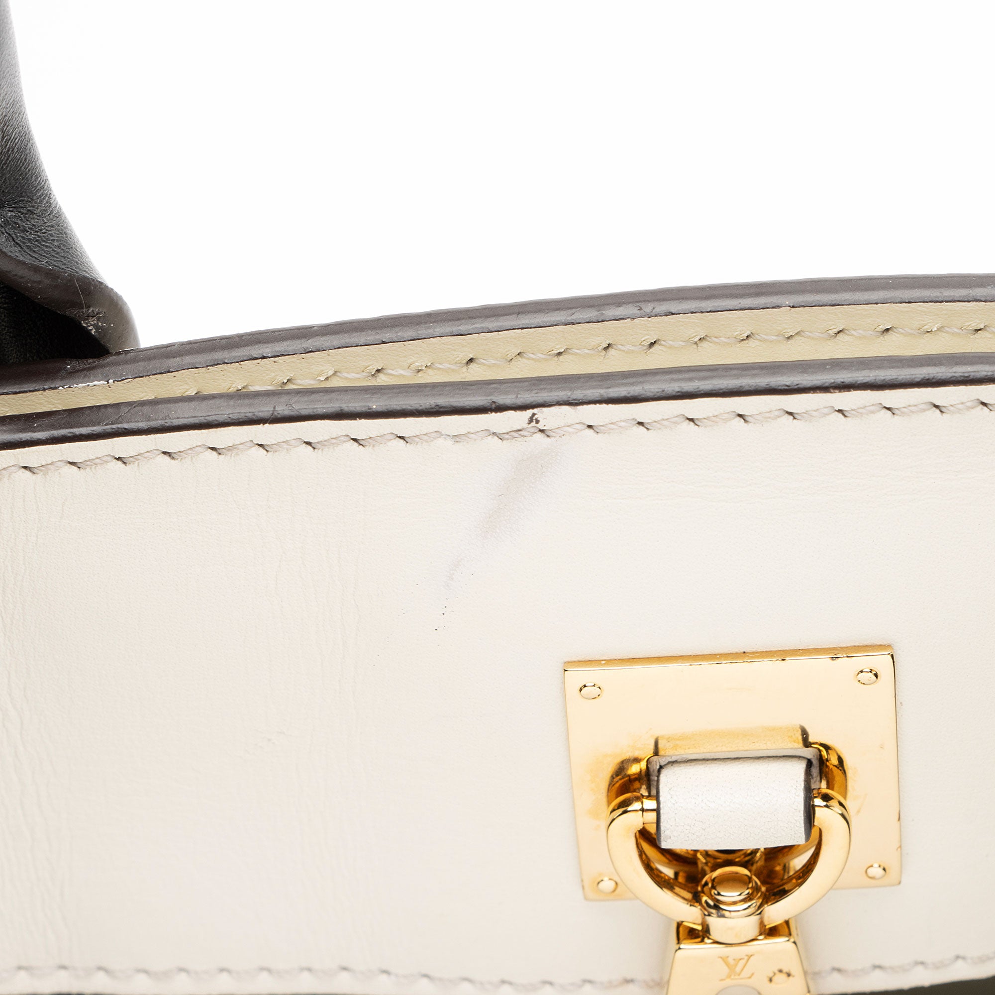 Louis Vuitton Calfskin City Steamer MM Tote