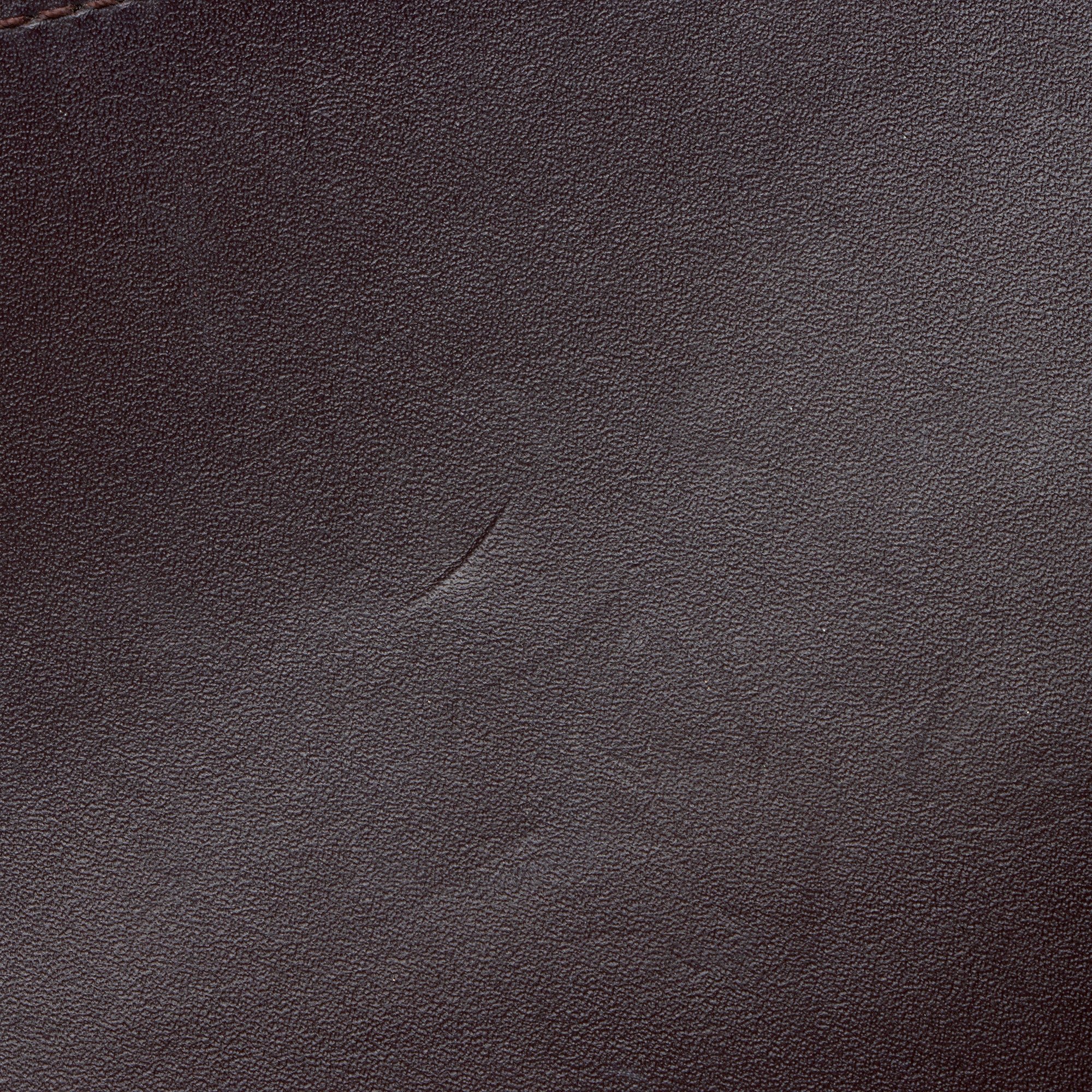 Louis Vuitton Calfskin Felicie Insert
