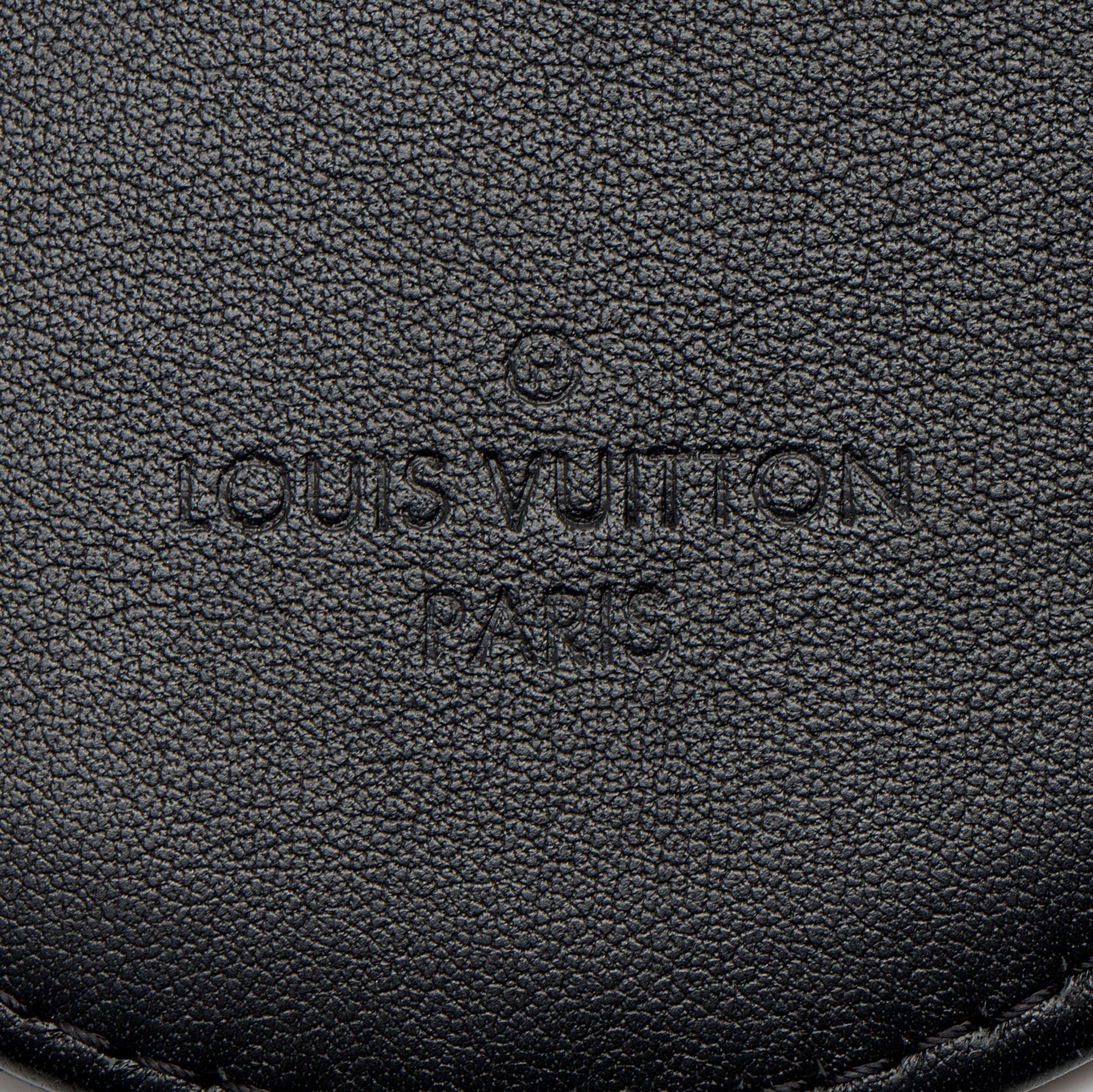 Louis Vuitton Calfskin New Wave Multi-Pochette Accessoires