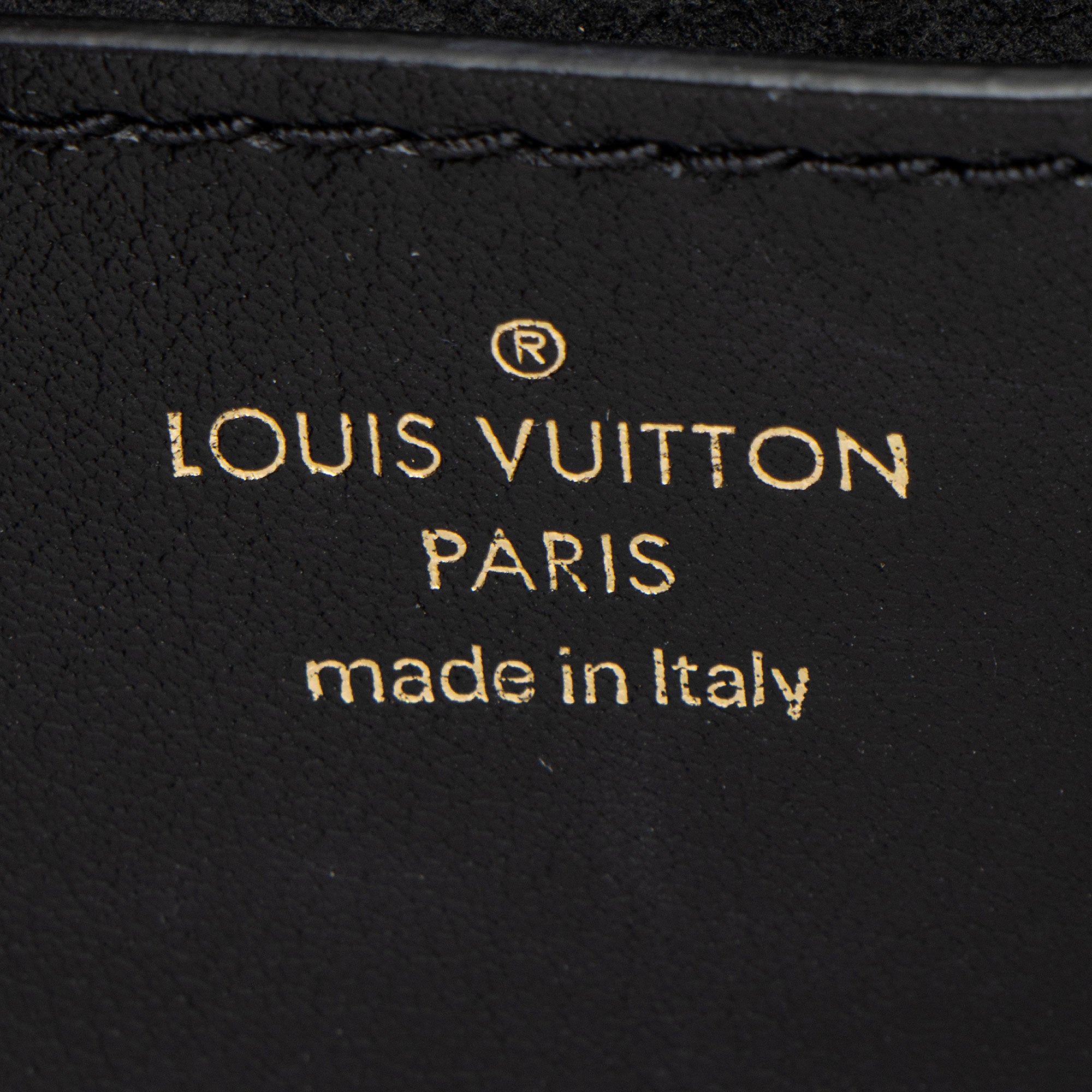 Louis Vuitton Calfskin New Wave Multi-Pochette Accessoires