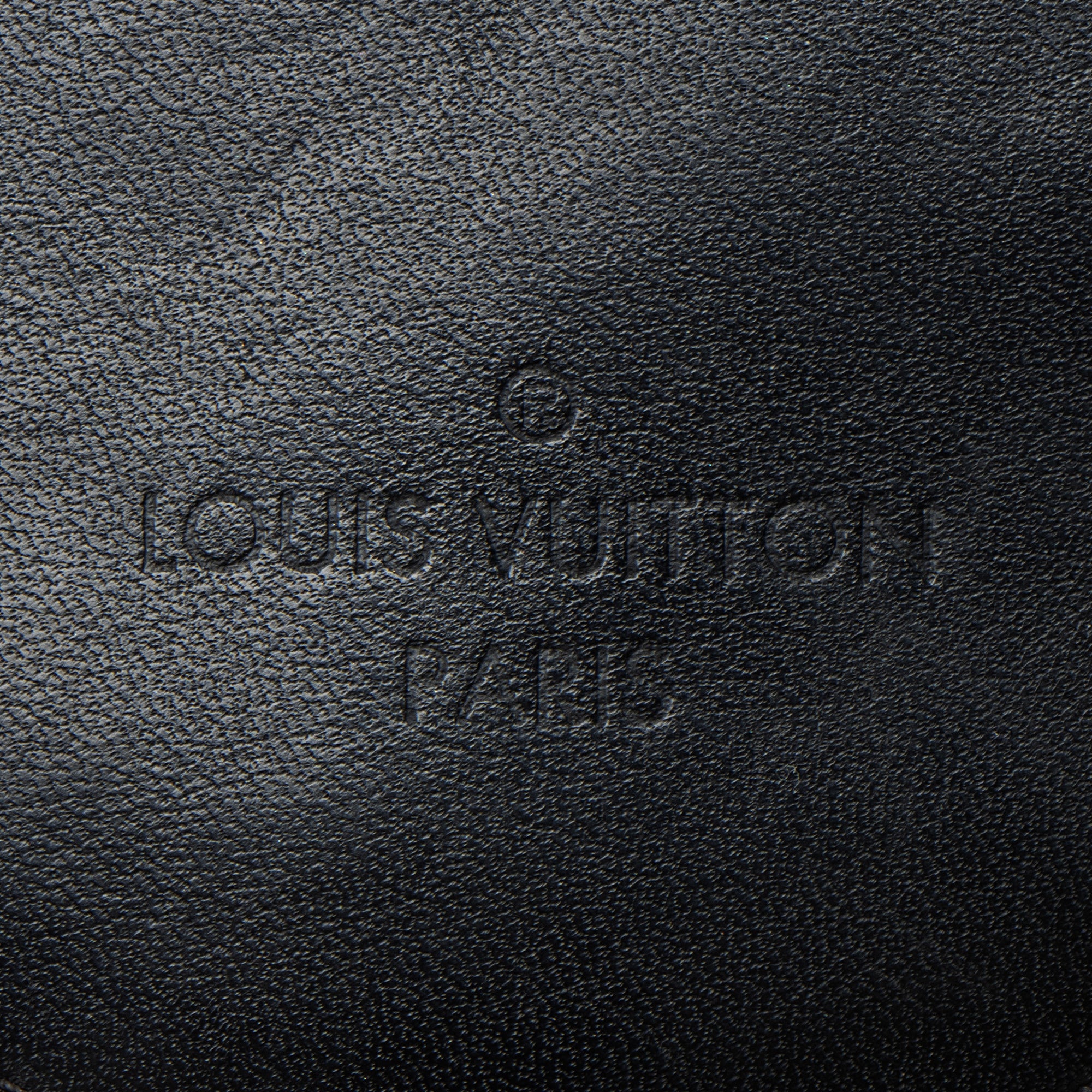 Louis Vuitton Calfskin New Wave Multi-Pochette Accessoires