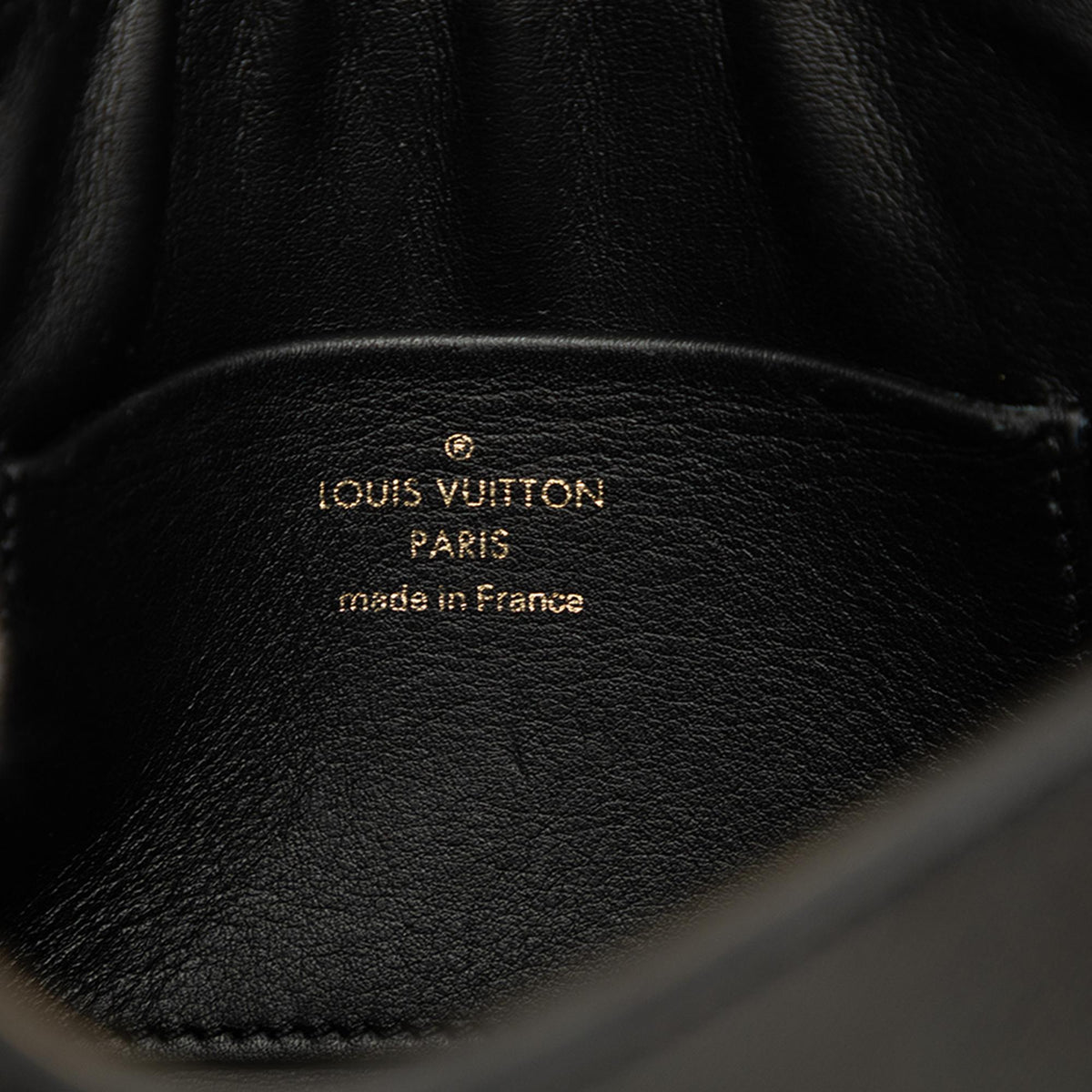 Louis Vuitton Calfskin Thelma Pochette