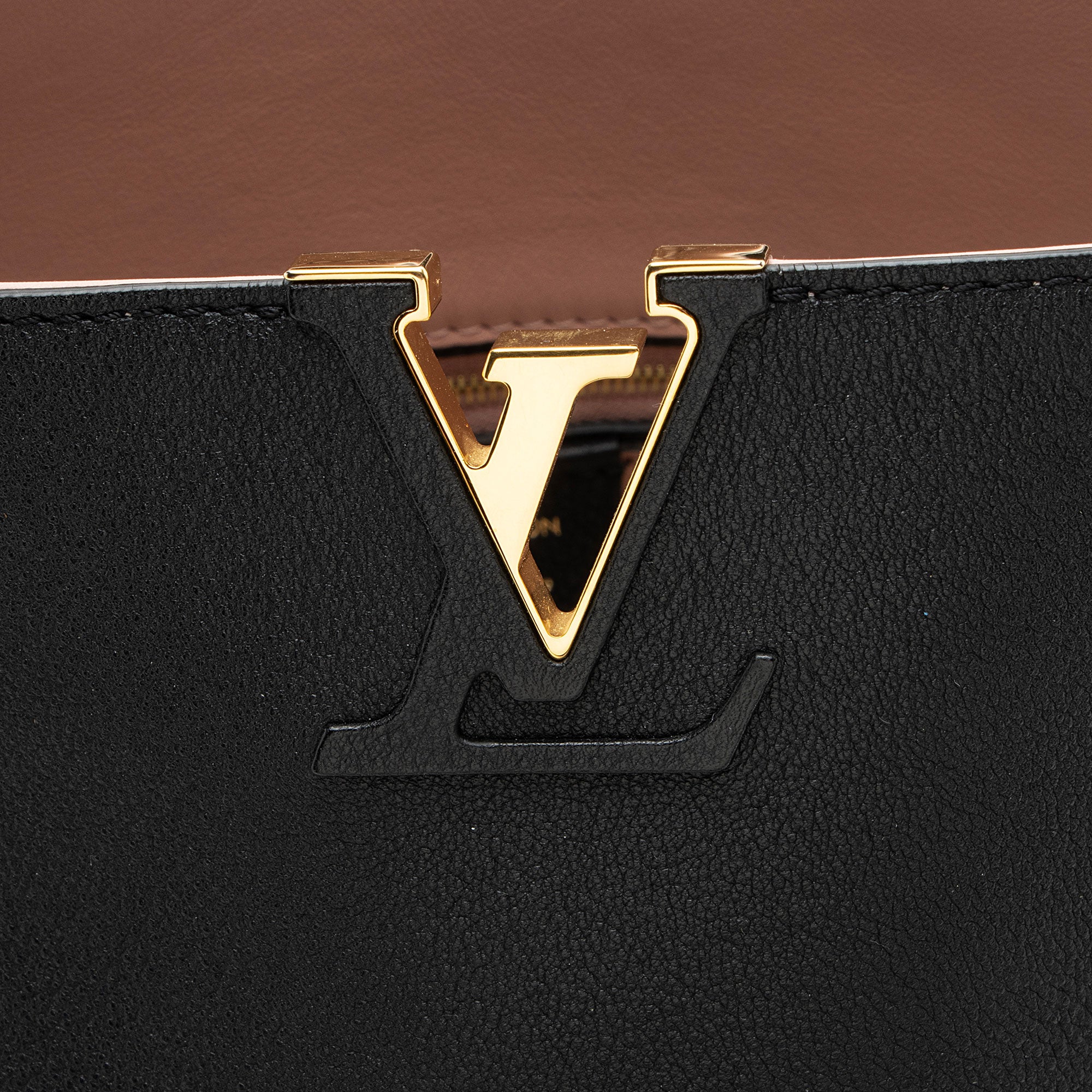 Louis Vuitton Calfskin Tournon Hobo