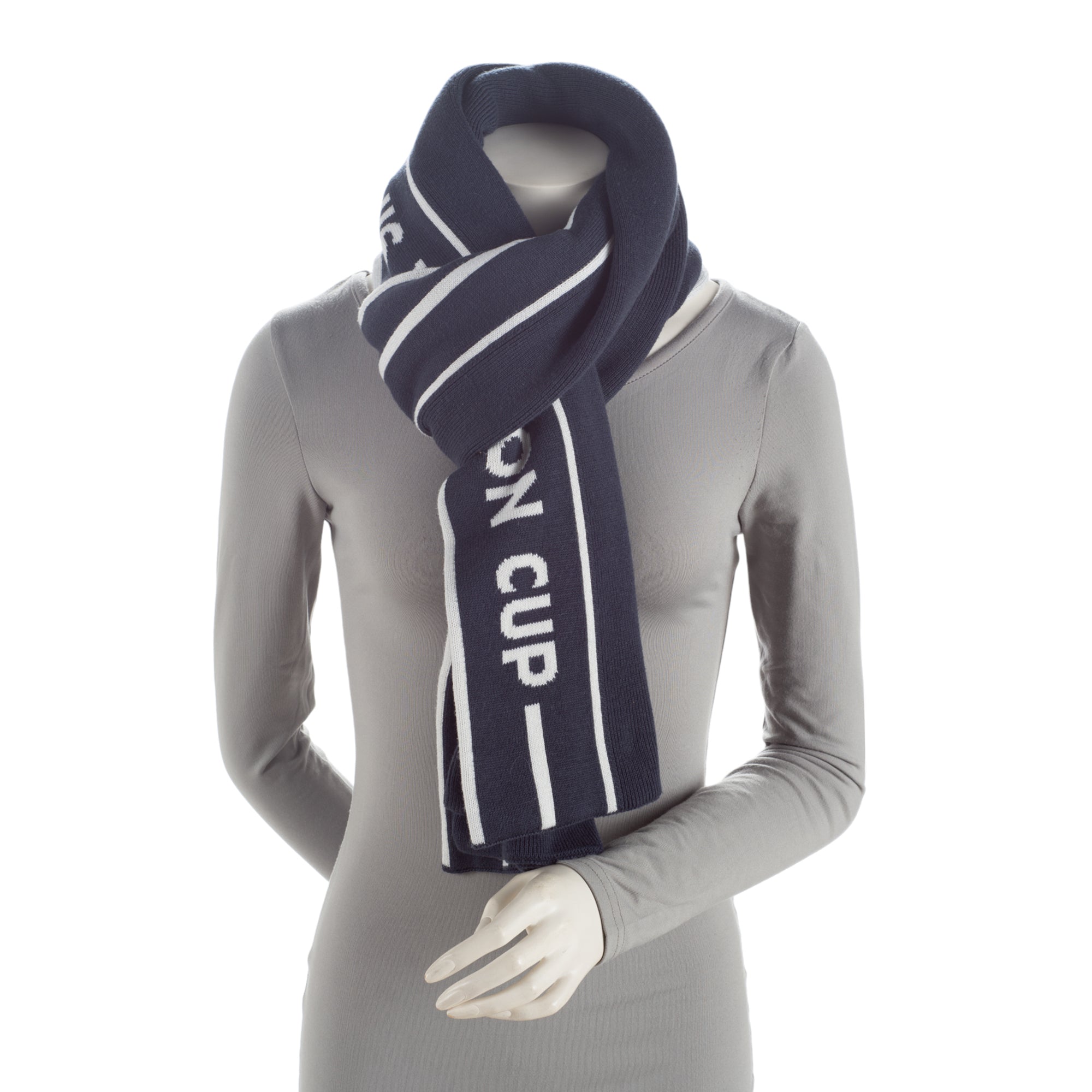 Louis Vuitton Cashmere Blend LV Cup Scarf (SHF-JMabQu)