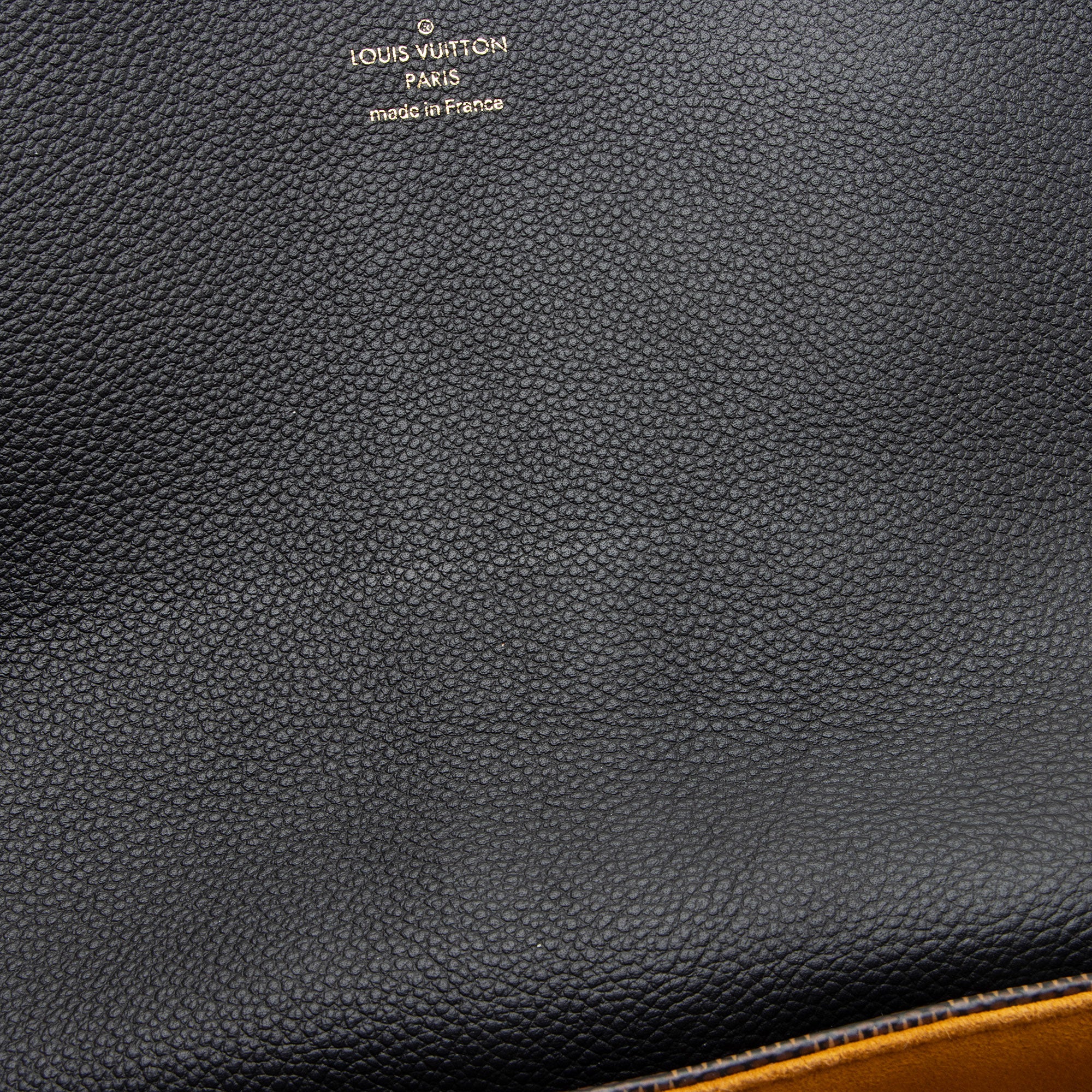 Louis Vuitton Damier Ebene Calfskin Clapton PM Shoulder Bag