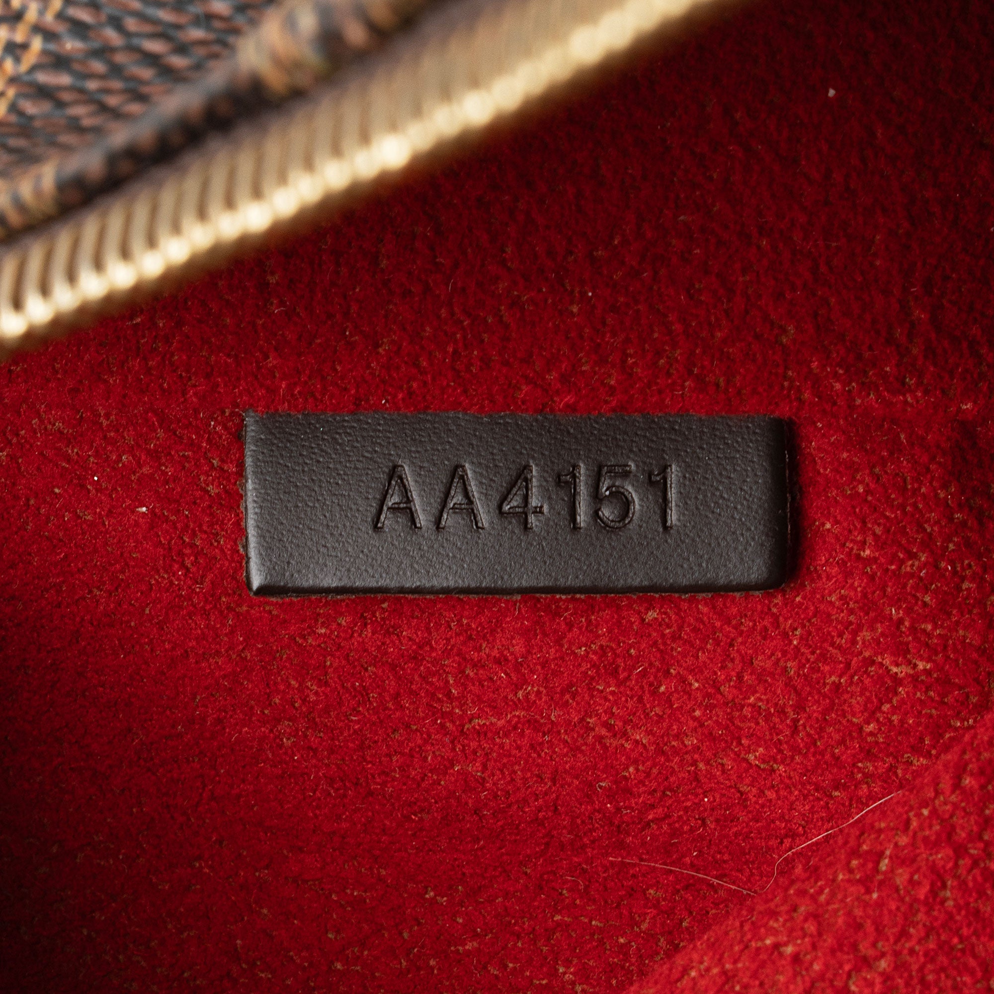 Louis Vuitton Damier Ebene Evora MM Tote