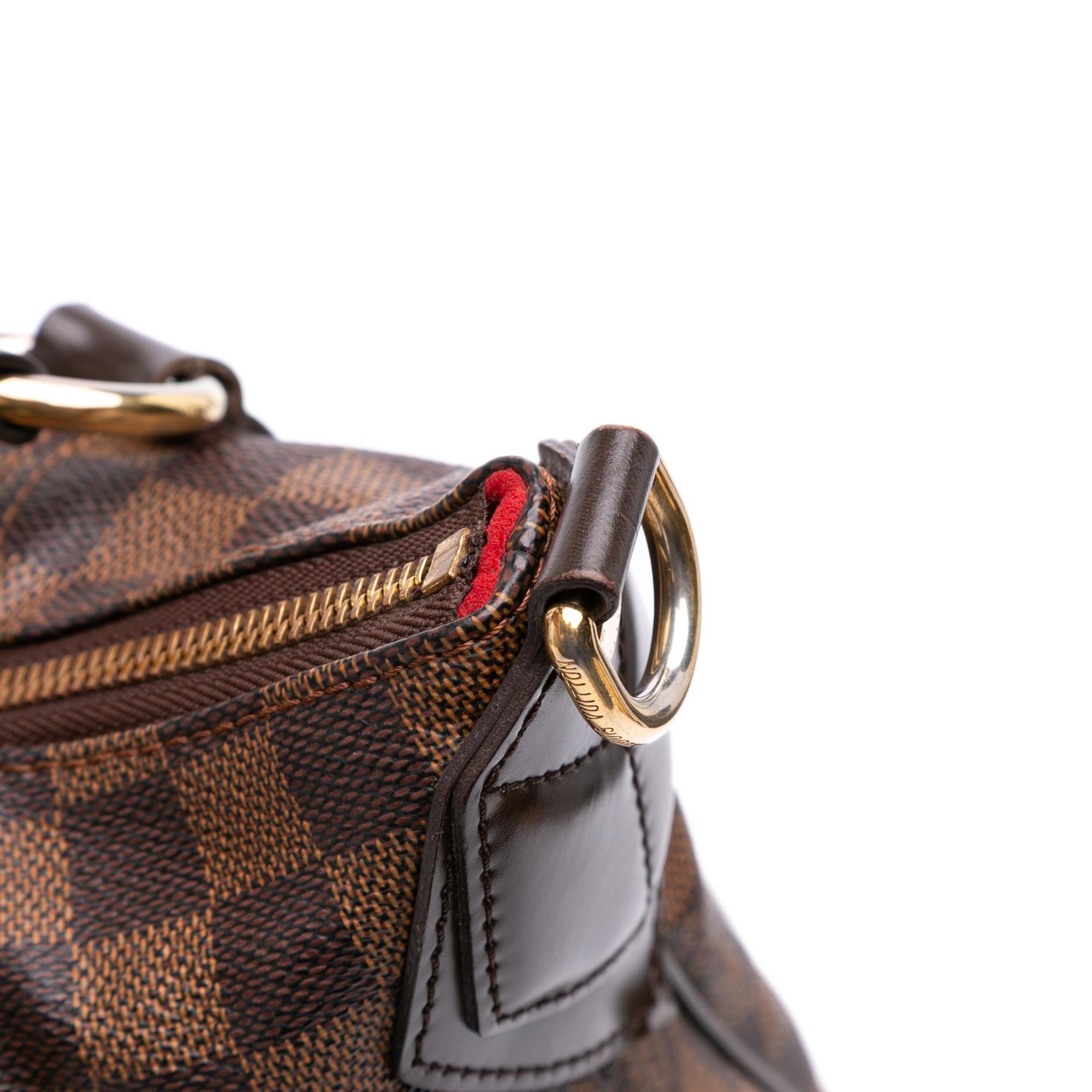 Louis Vuitton Damier Ebene Evora MM